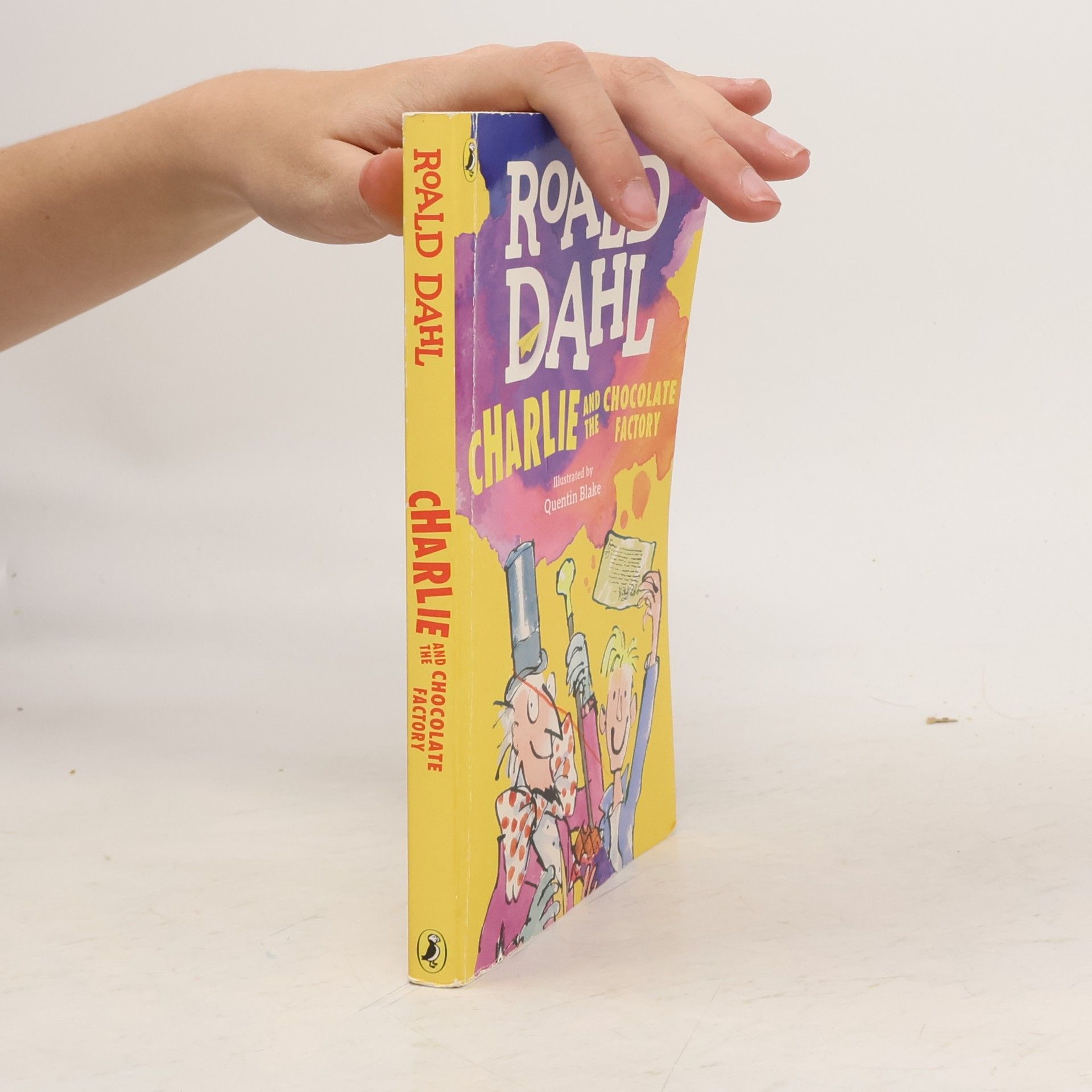 Roald Dahl Charlie and the Chocolate Factory