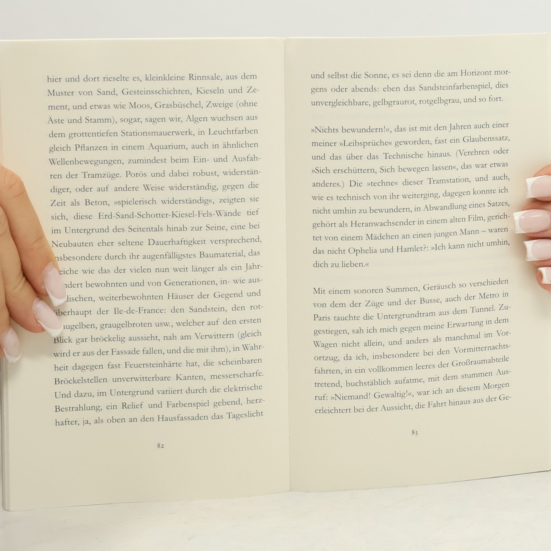 Peter Handke Das zweite Schwert : eine Maigeschichte