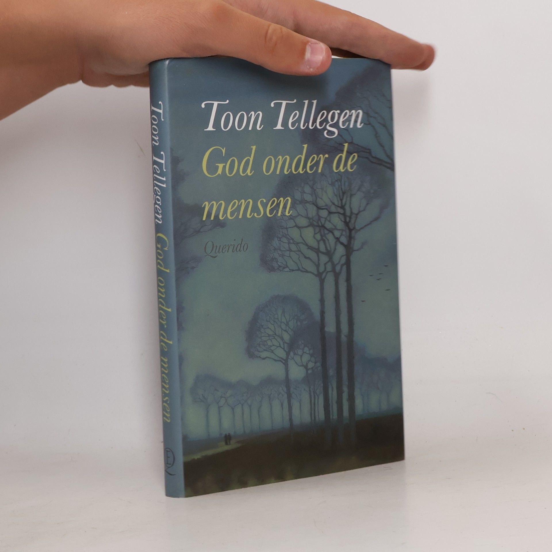 Toon Tellegen God onder de mensen