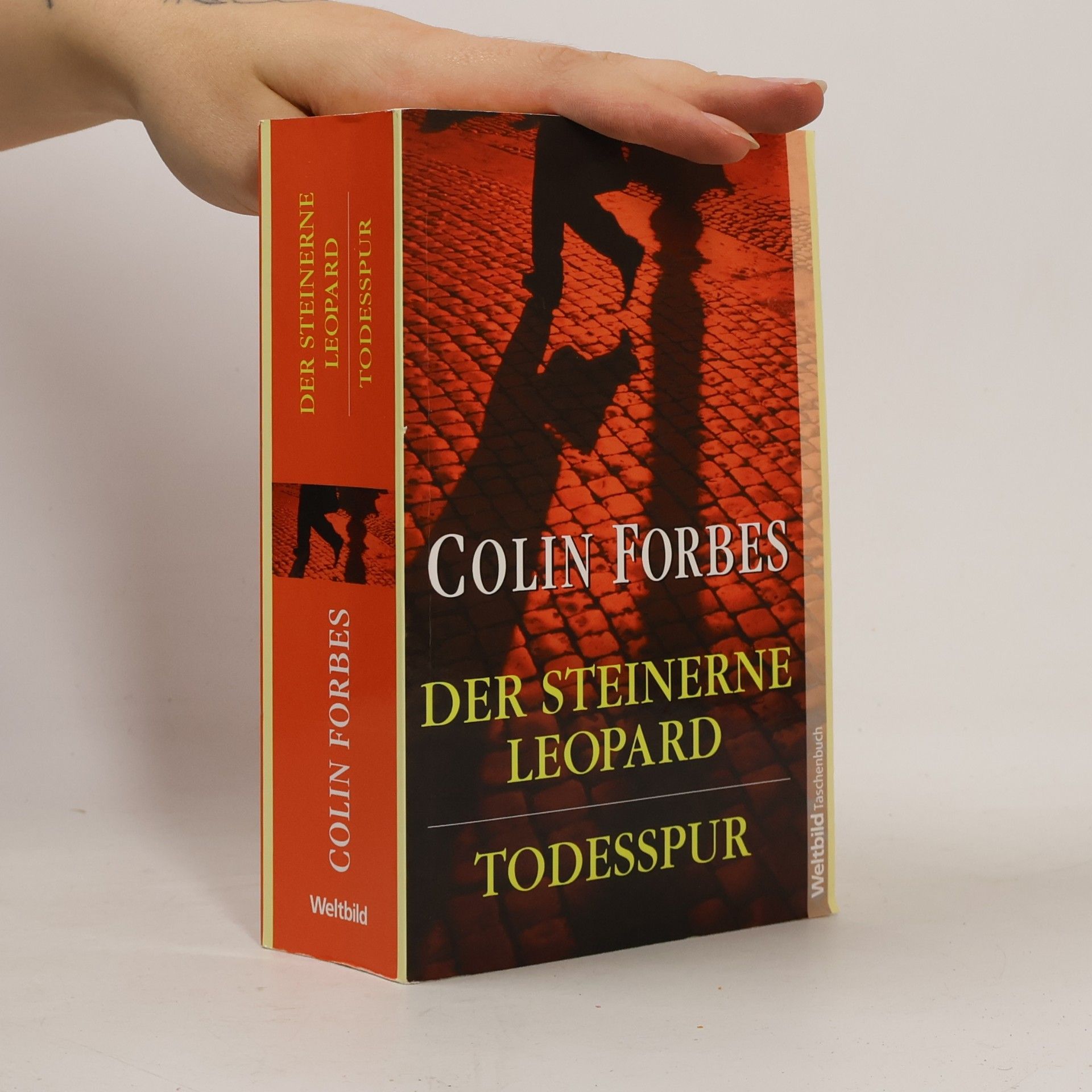 Colin Forbes Der steinerne Leopard