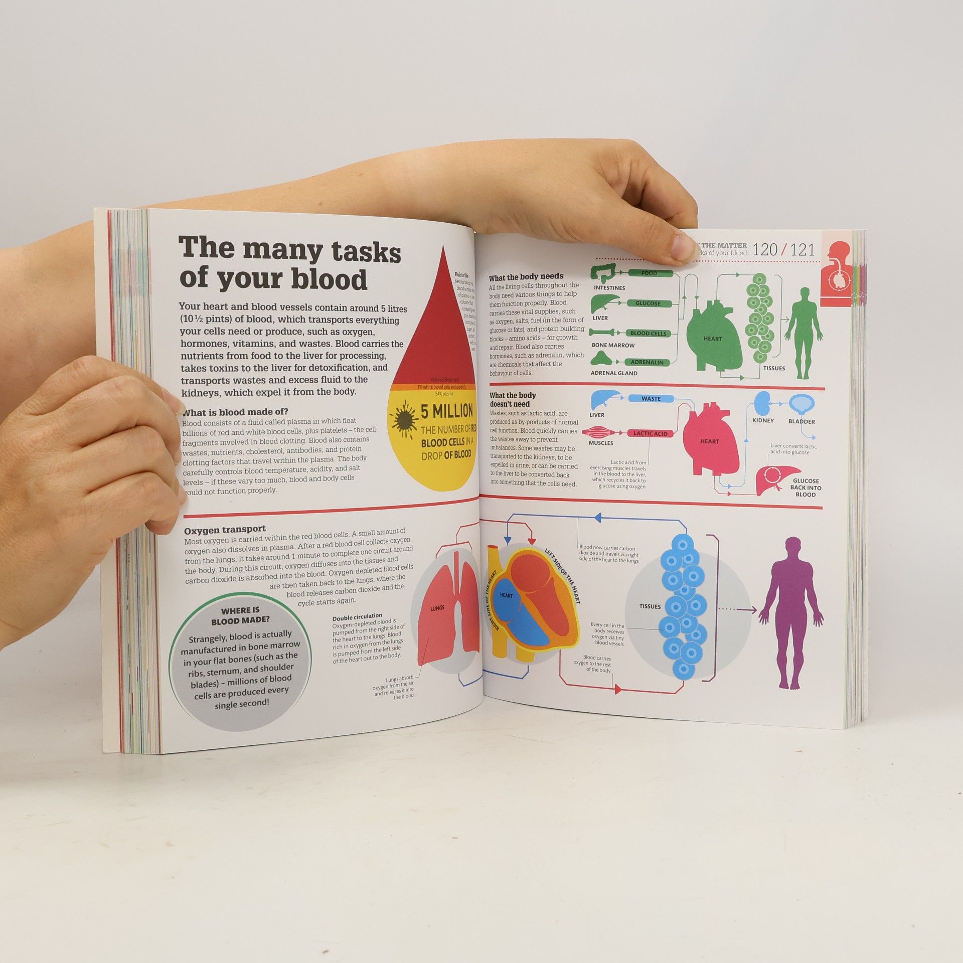 Wendy Horobin DK How the Body Works