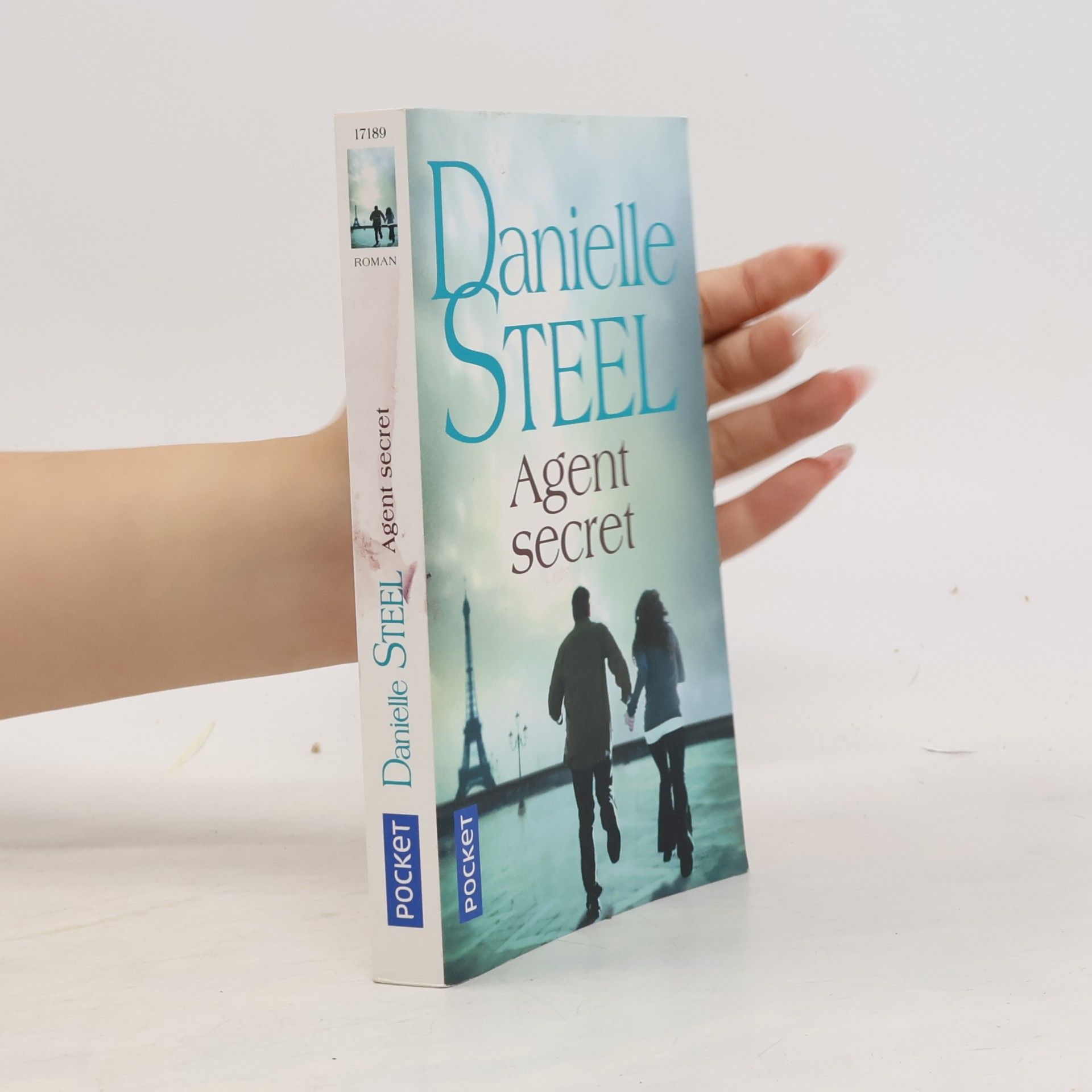 Danielle Steel Agent secret