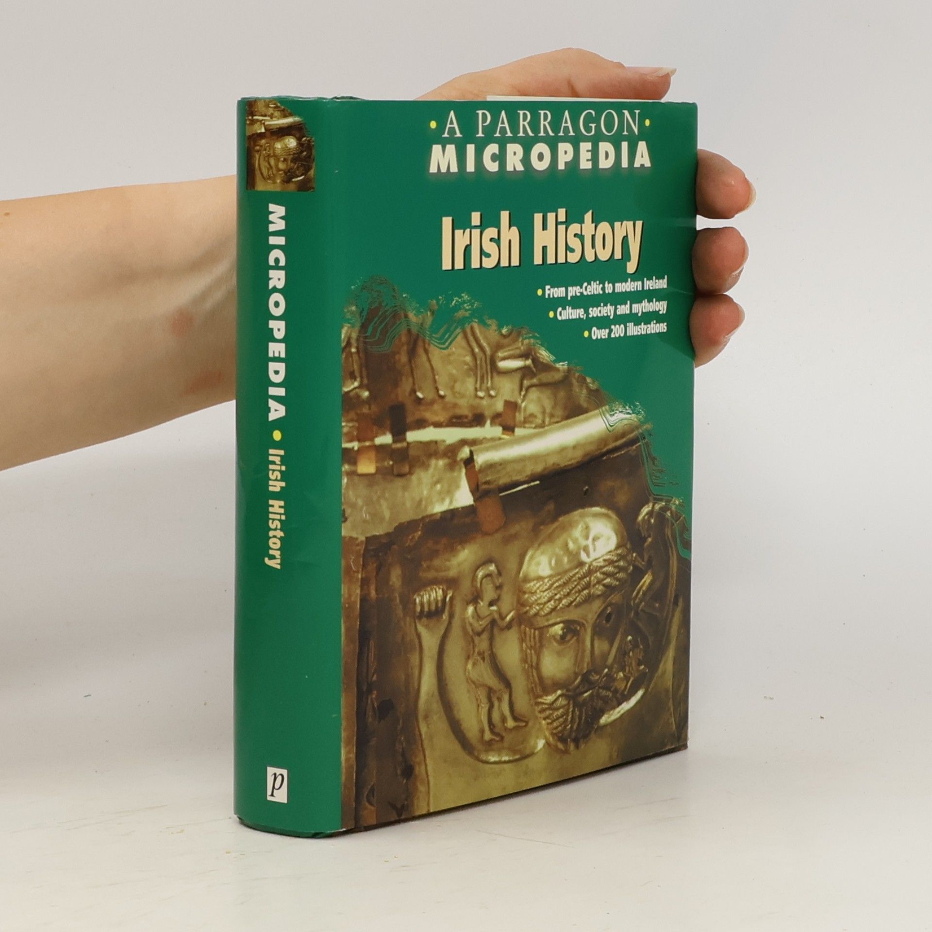 Seamus Mac Annaidh Irish History
