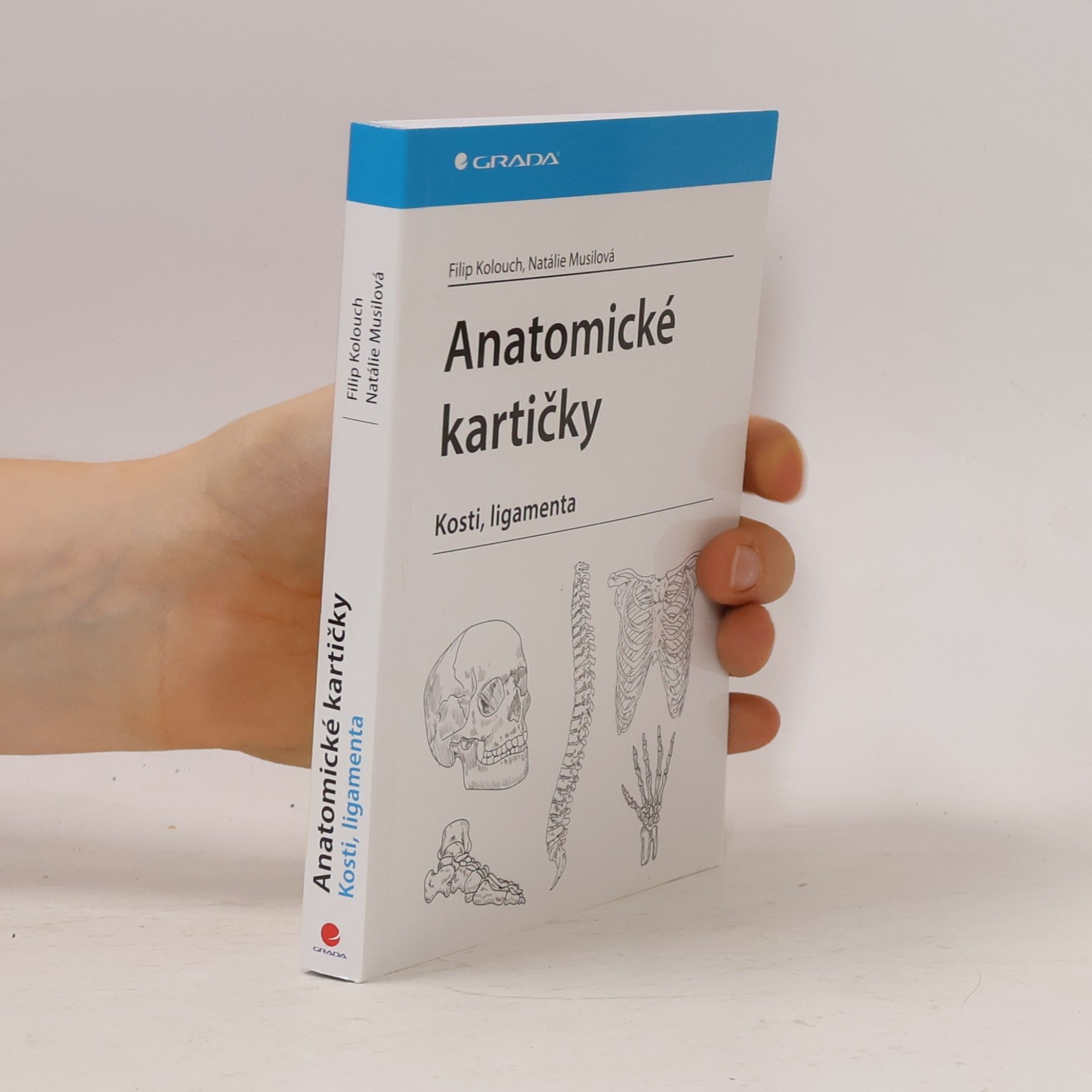 Natálie Musilová Anatomické kartičky