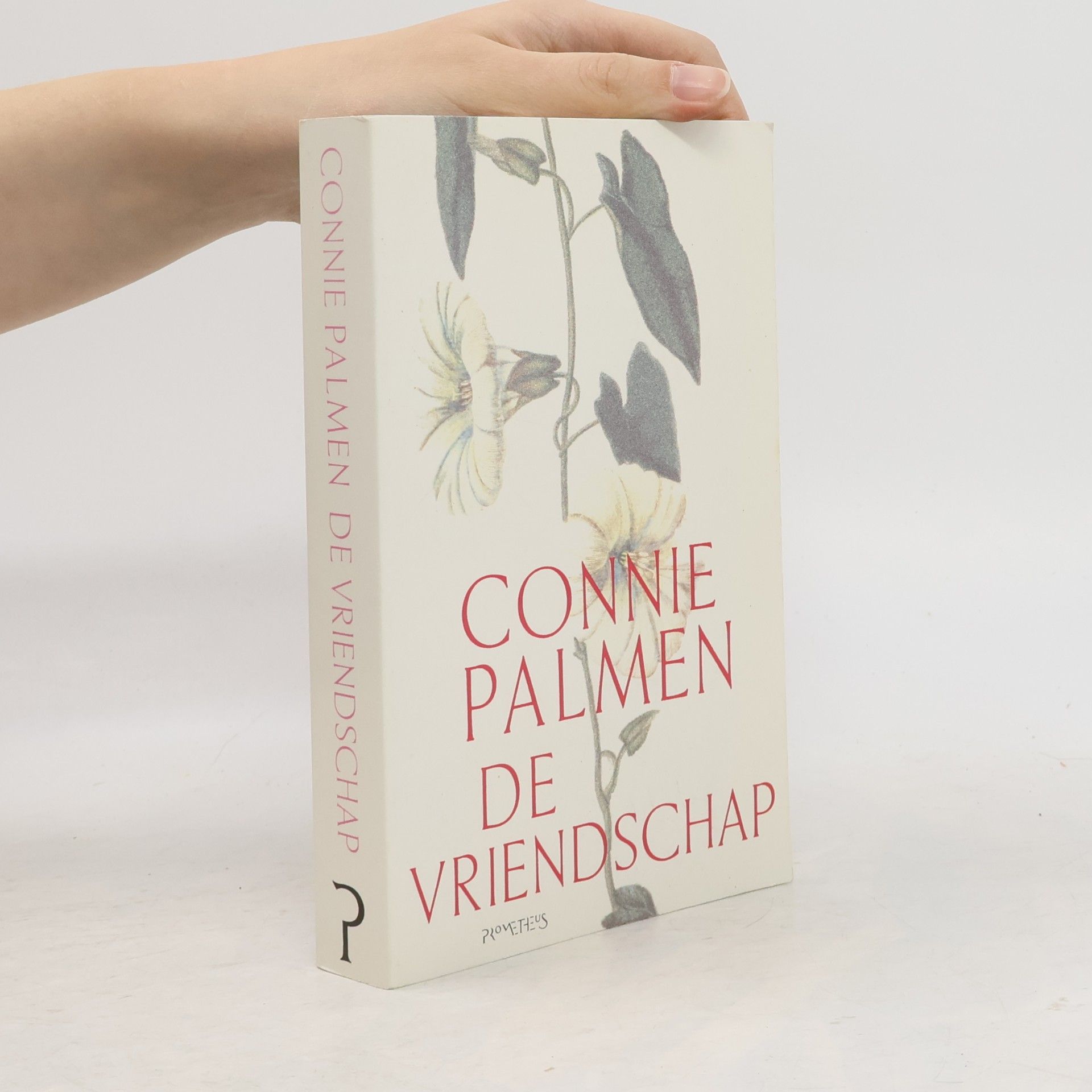 Connie Palmen De vriendschap