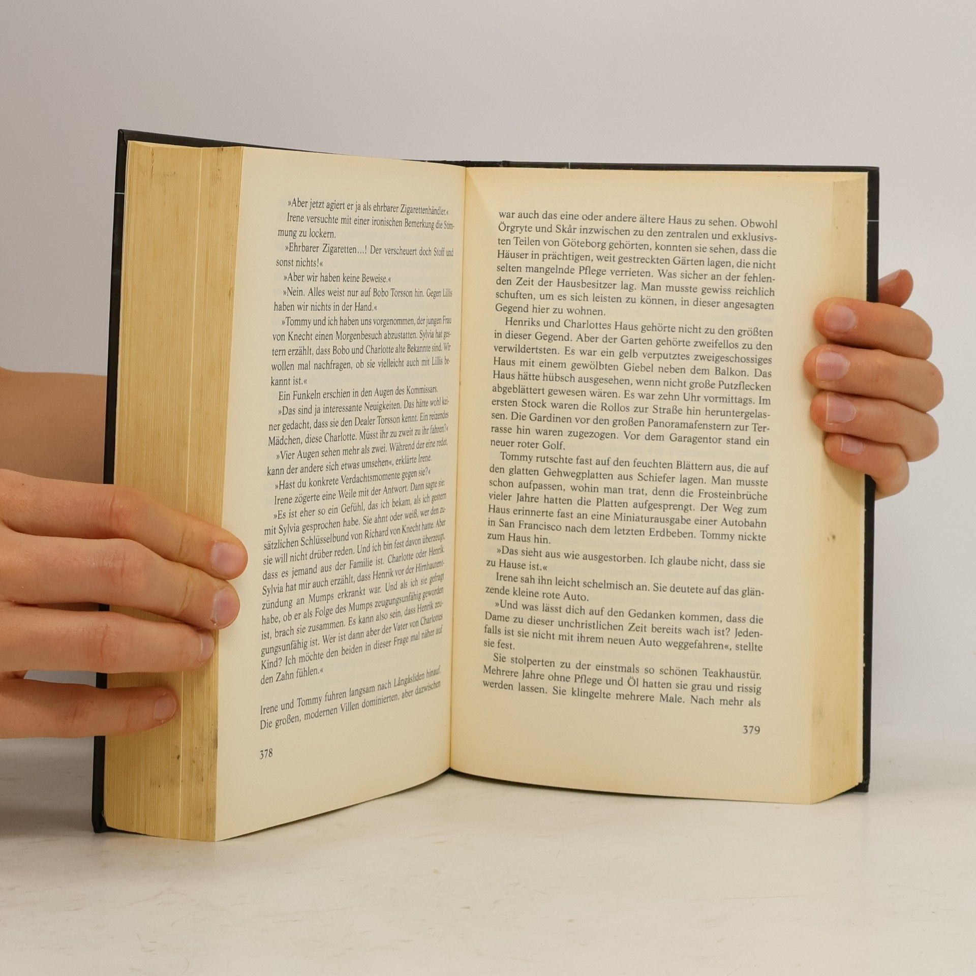 Helene Tursten Der Novembermörder