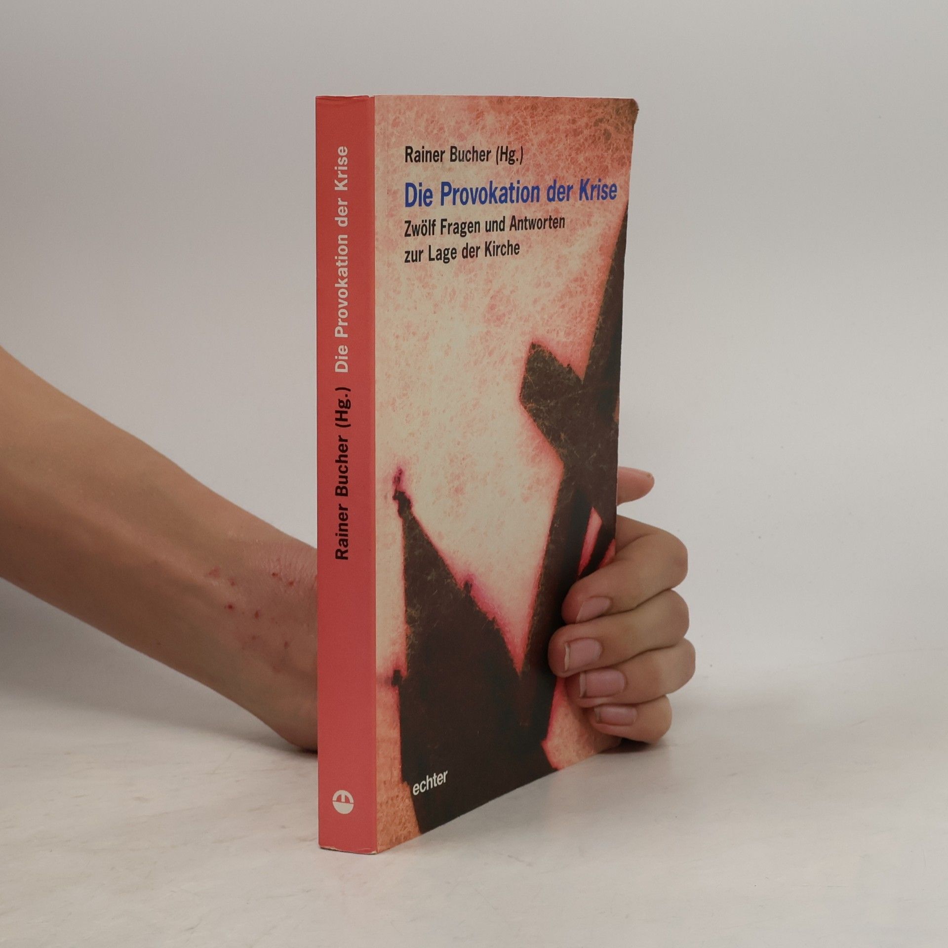 Rainer Bucher Die Provokation der Krise