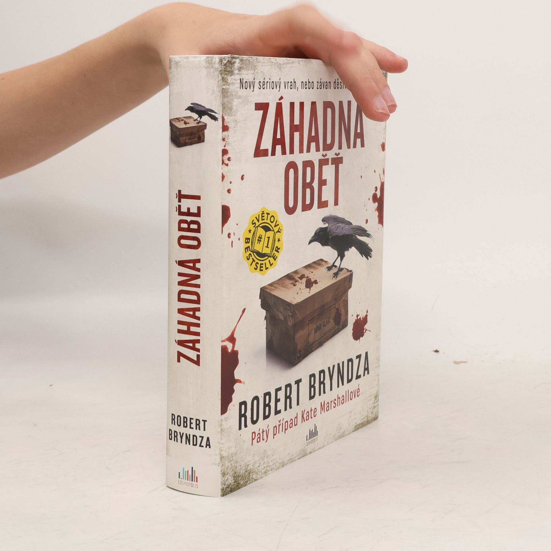 Robert Bryndza Záhadná oběť