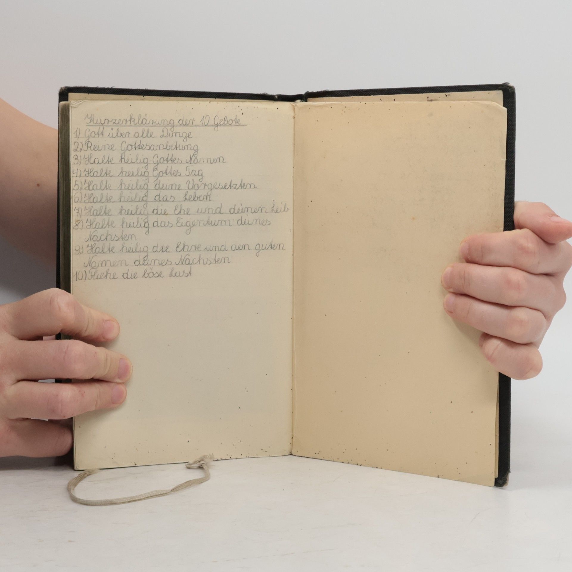 Autorenkollektiv Die Bibel oder die ganze Heilige Schrift des Alten u. Neuen Testaments