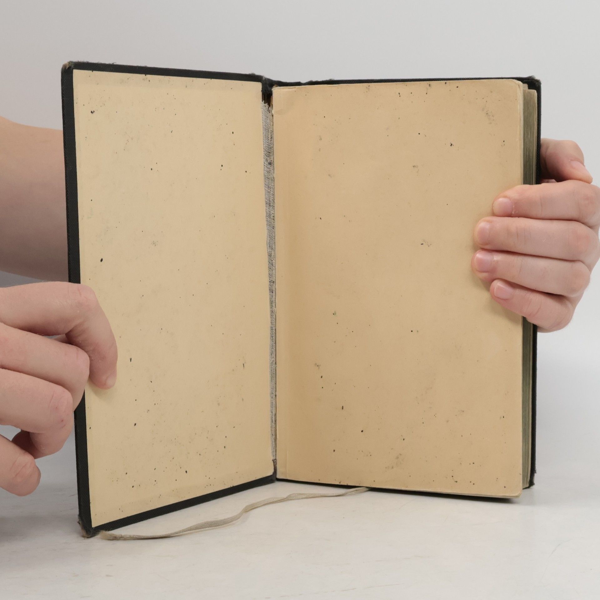 Autorenkollektiv Die Bibel oder die ganze Heilige Schrift des Alten u. Neuen Testaments