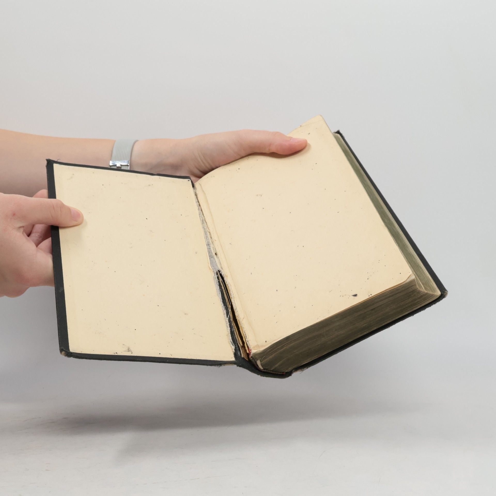 Autorenkollektiv Die Bibel oder die ganze Heilige Schrift des Alten u. Neuen Testaments