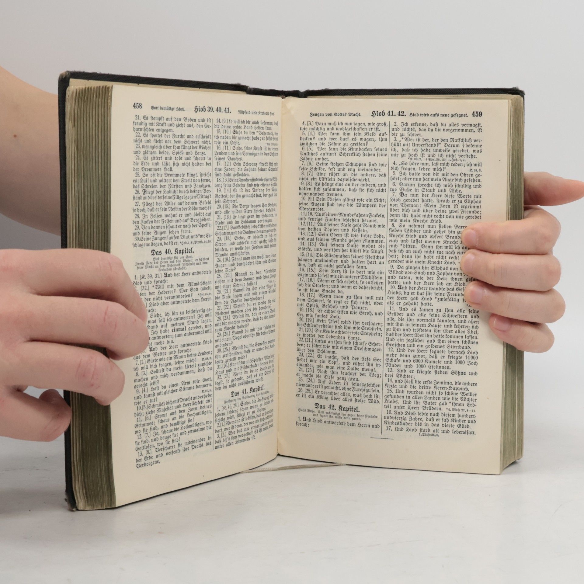 Autorenkollektiv Die Bibel oder die ganze Heilige Schrift des Alten u. Neuen Testaments