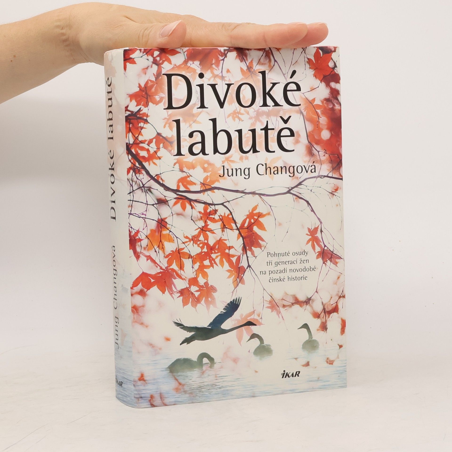 Yong Chang Divoké labutě