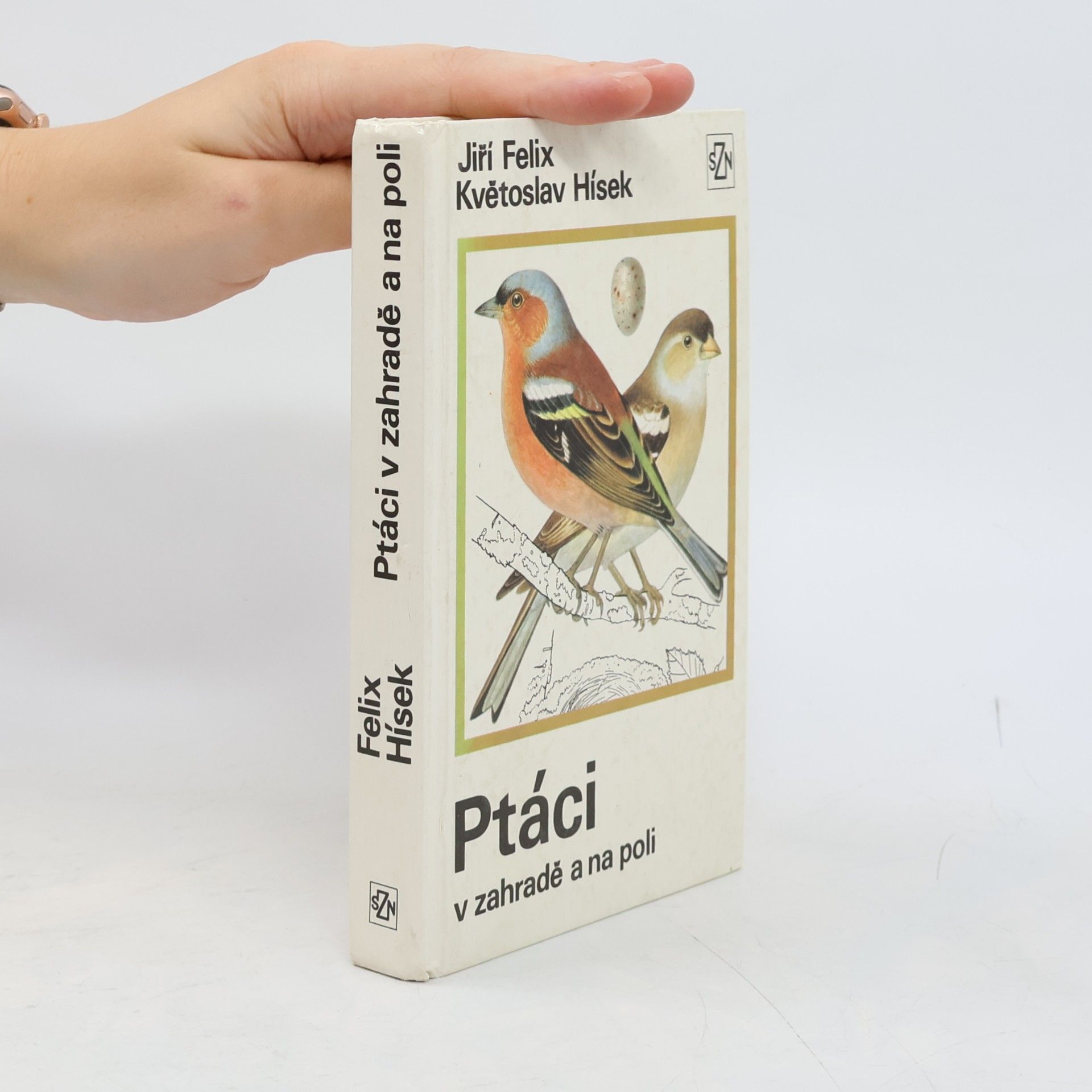 Květoslav Hísek Ptáci v zahradě a na poli