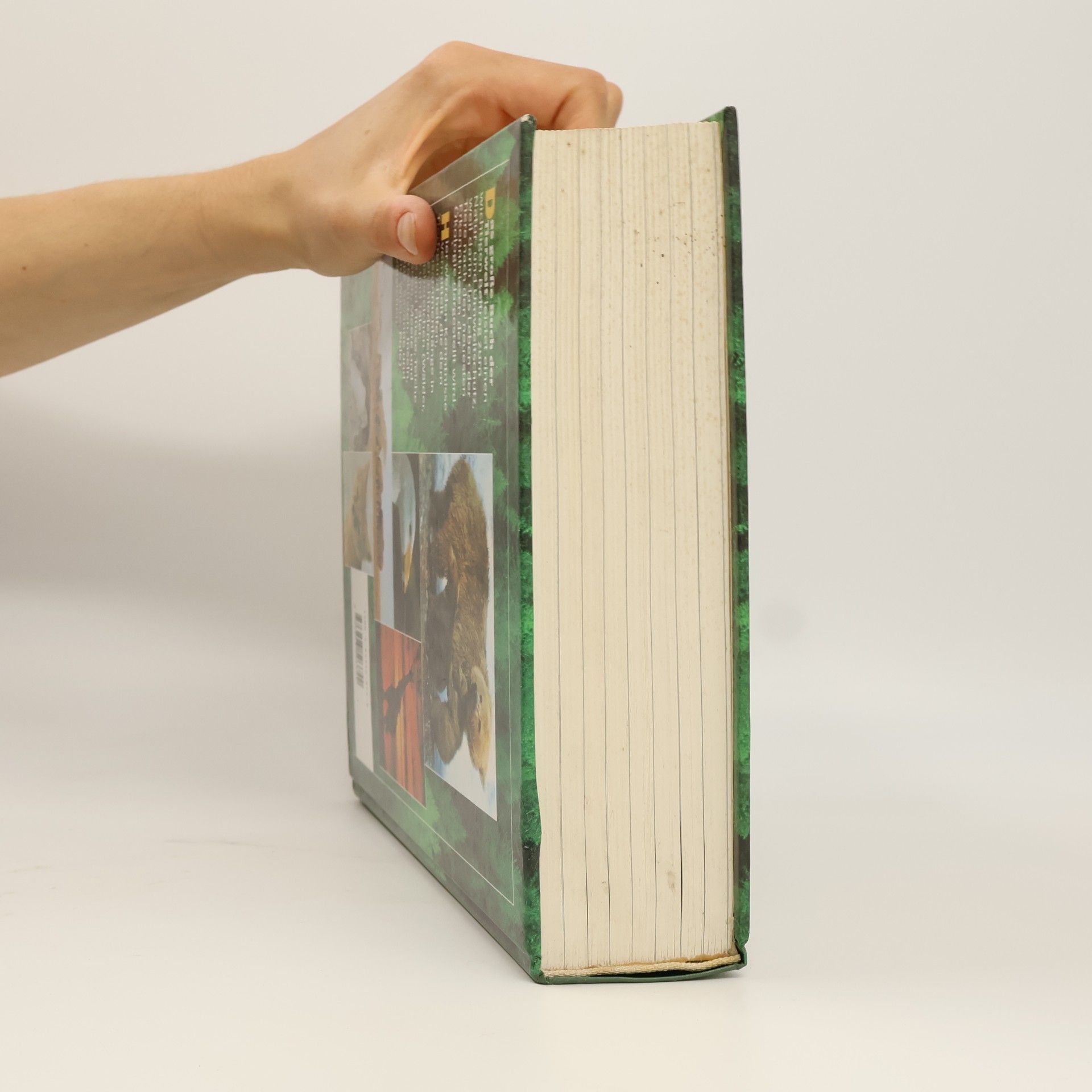 Siegfried Schmitz Das große Buch der Tierwelt. Der farbige Naturführer durch alle Kontinente