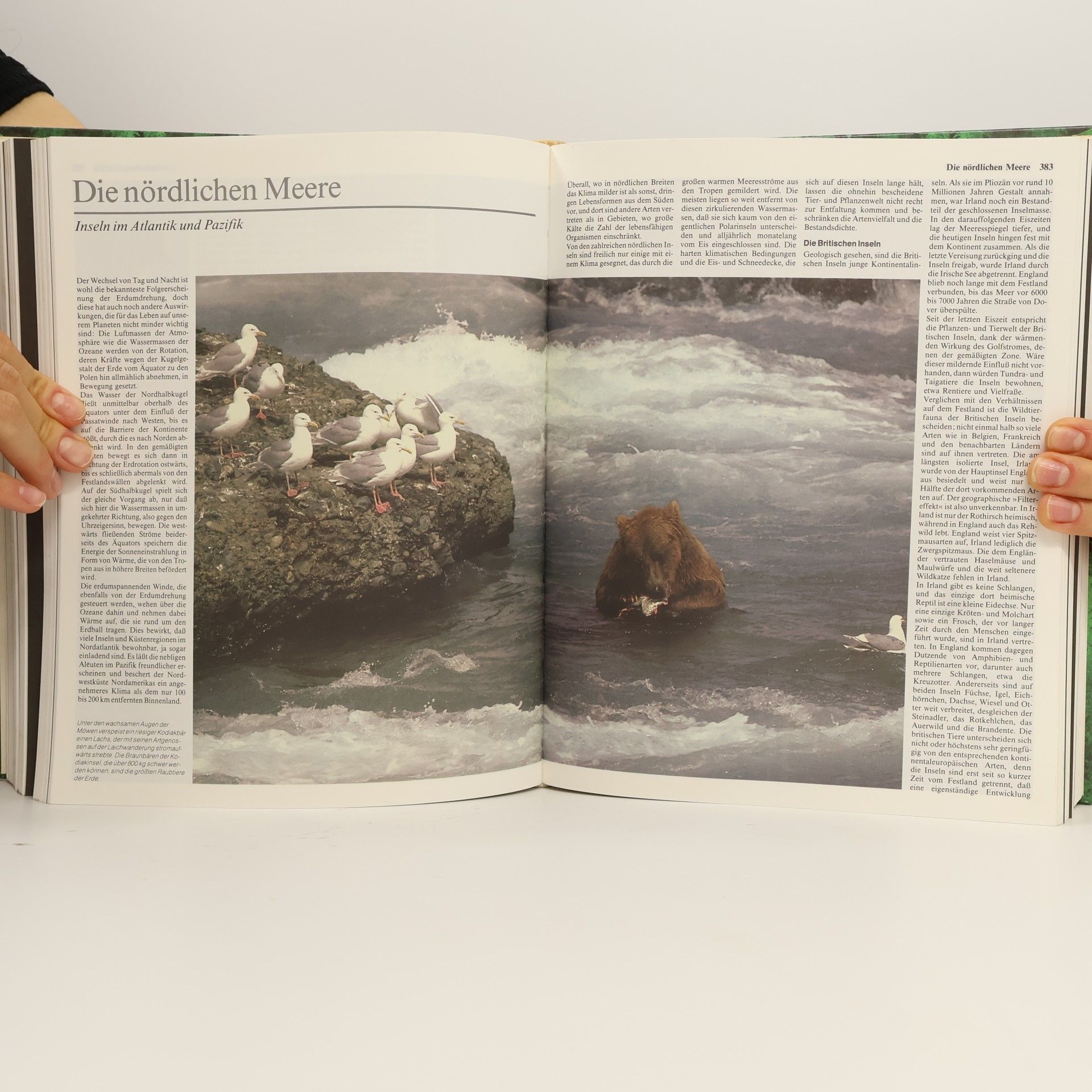 Siegfried Schmitz Das große Buch der Tierwelt. Der farbige Naturführer durch alle Kontinente