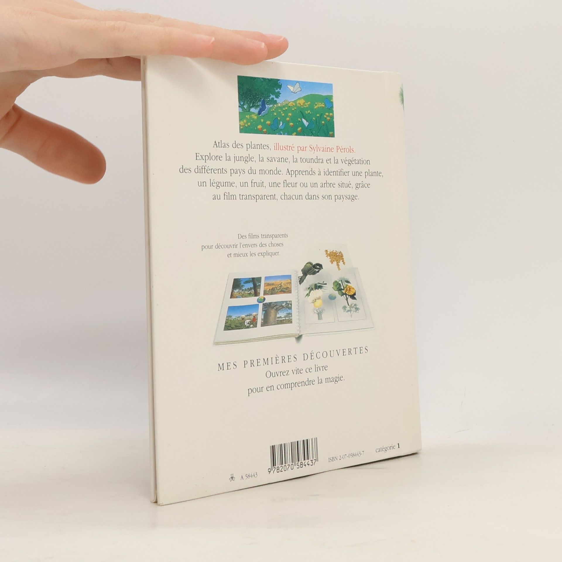Sylvaine Pérols Atlas des plantes