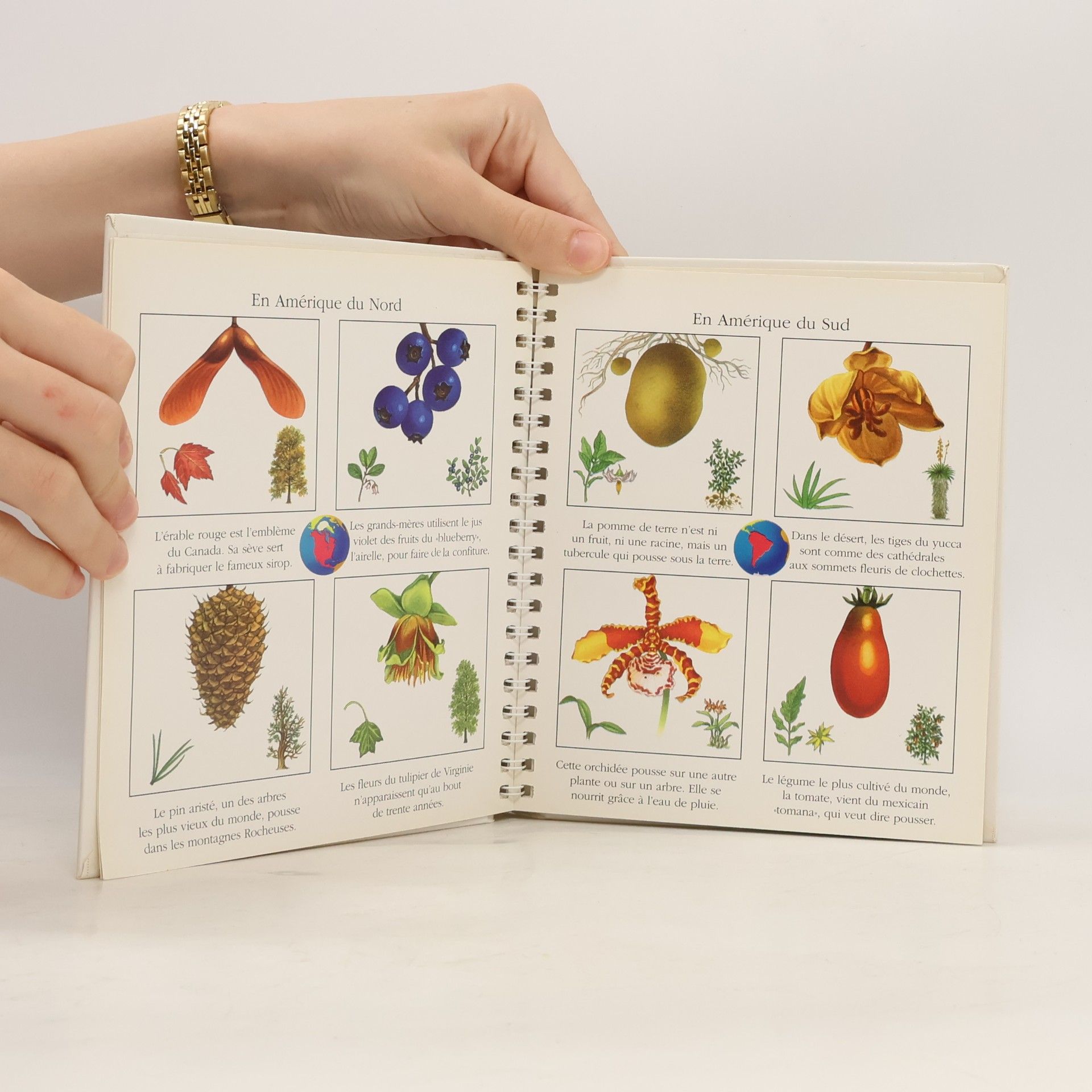 Sylvaine Pérols Atlas des plantes
