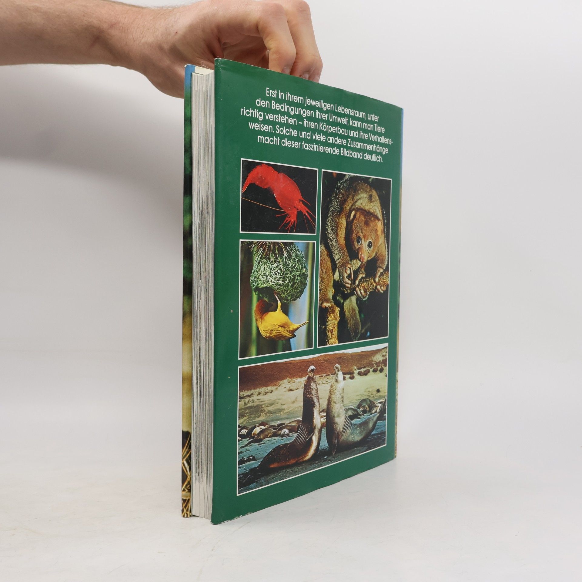 A. Blair-Rains Bildatlas der Tierwelt