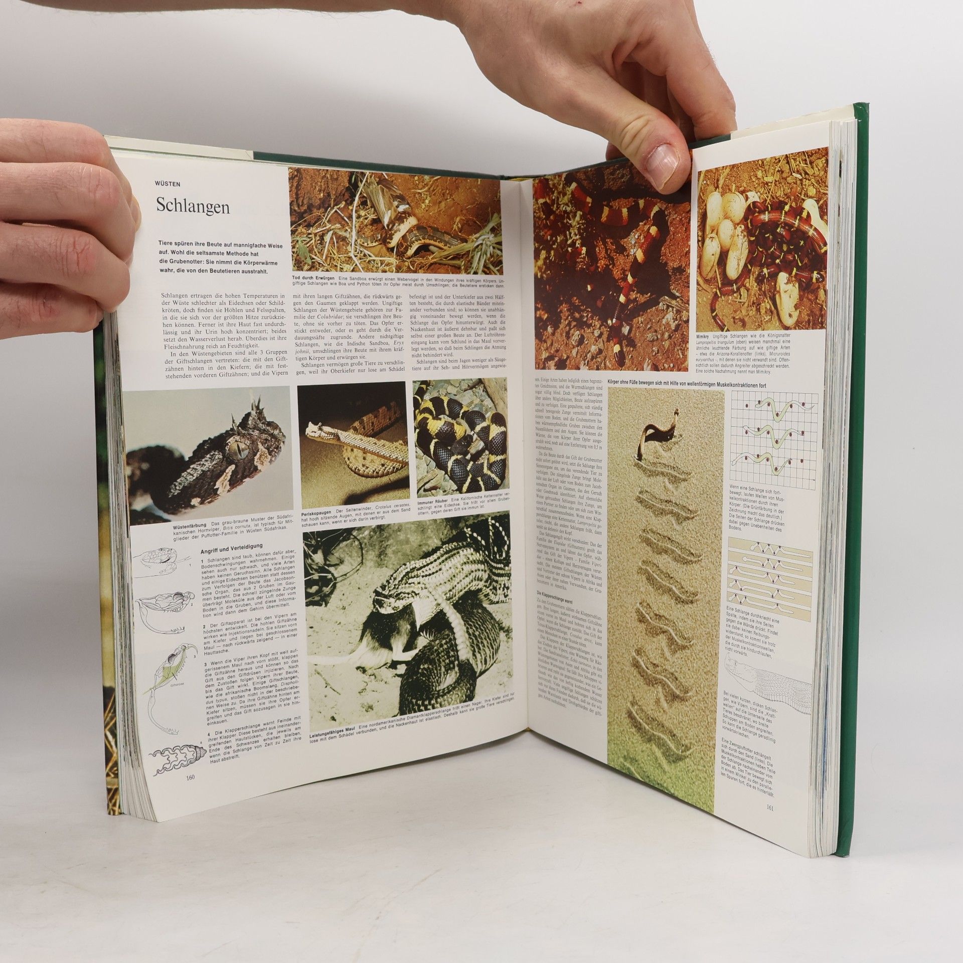 A. Blair-Rains Bildatlas der Tierwelt