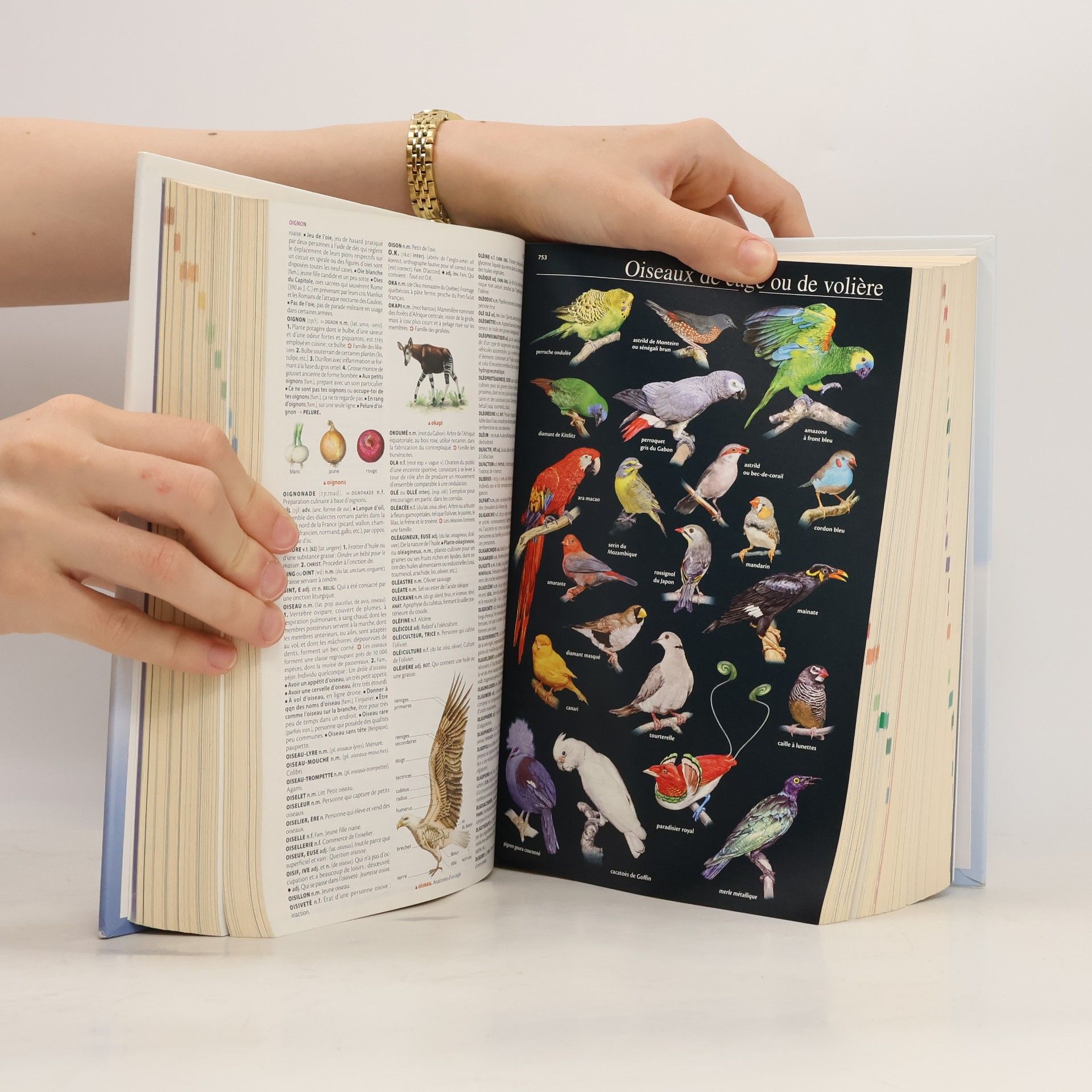 Jacques Florent Le petit Larousse illustré 2012 - Édition limitée