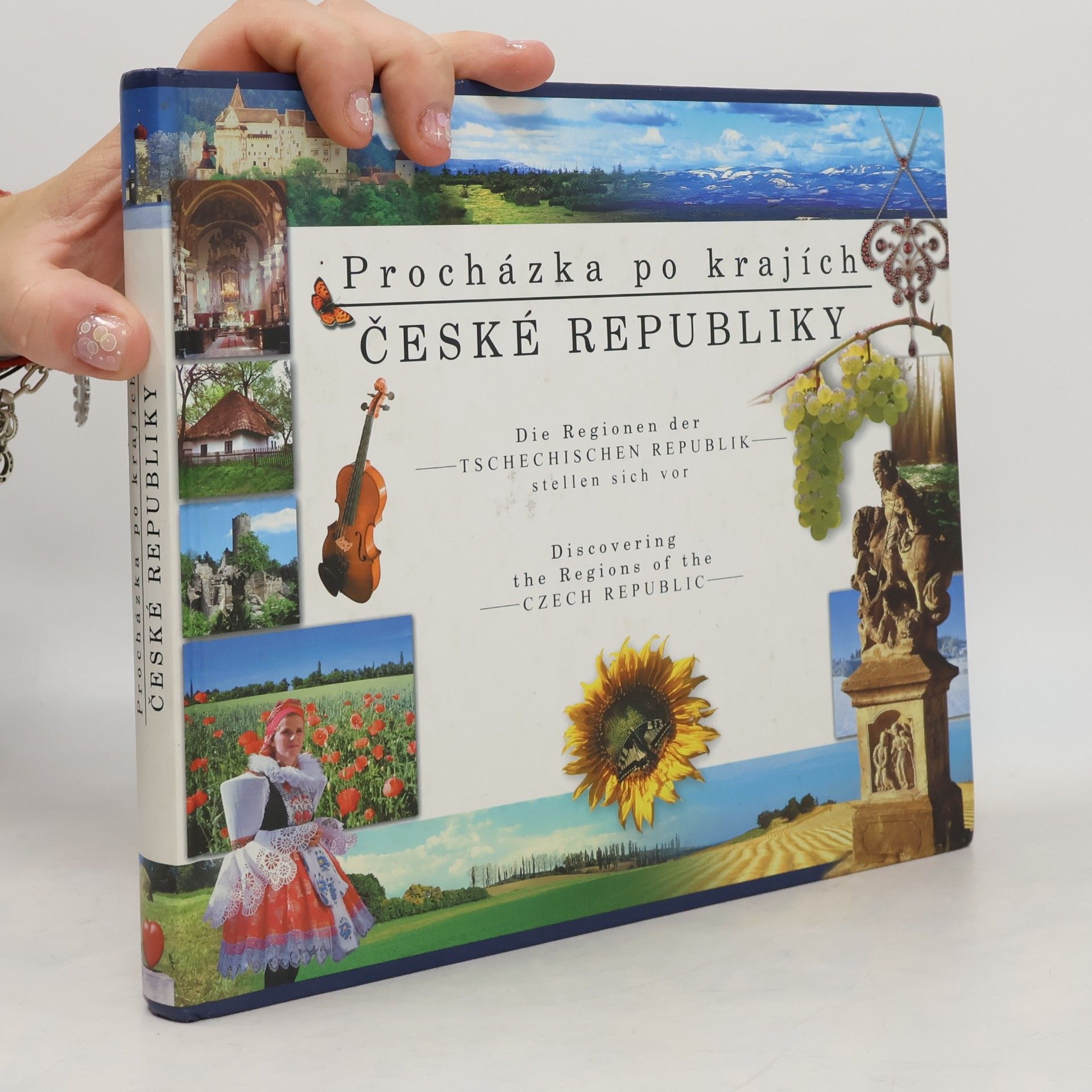 Kolektív autorov Procházka po krajích České republiky