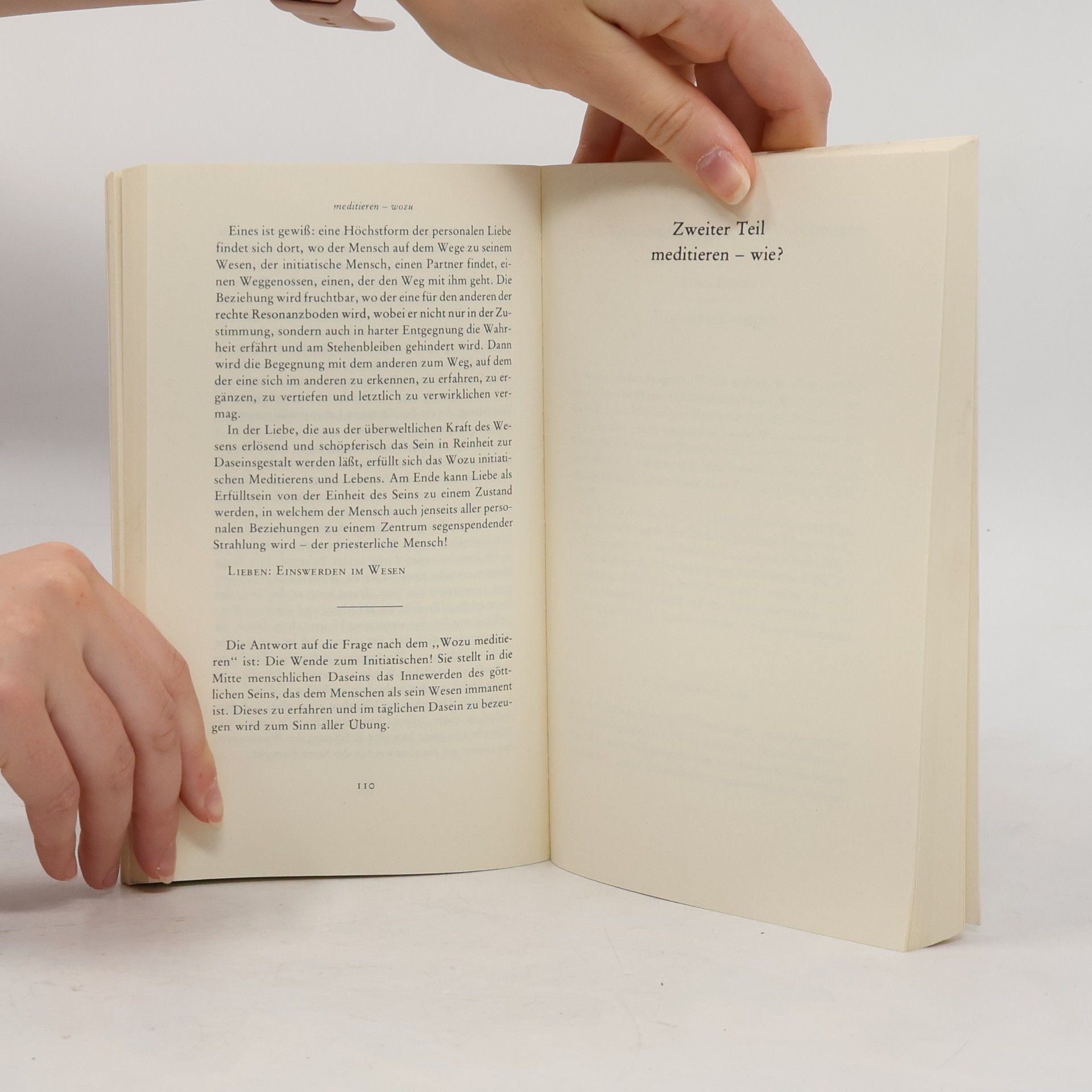 Karlfried Graf Dürckheim Meditieren, wozu und wie
