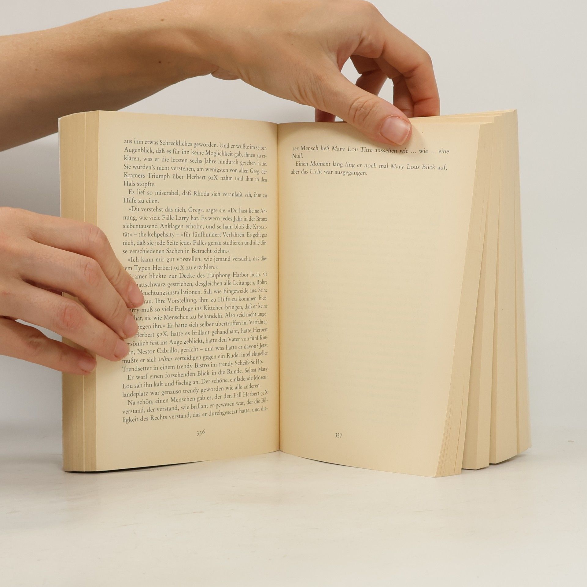 Tom Wolfe Fegefeuer der Eitelkeiten