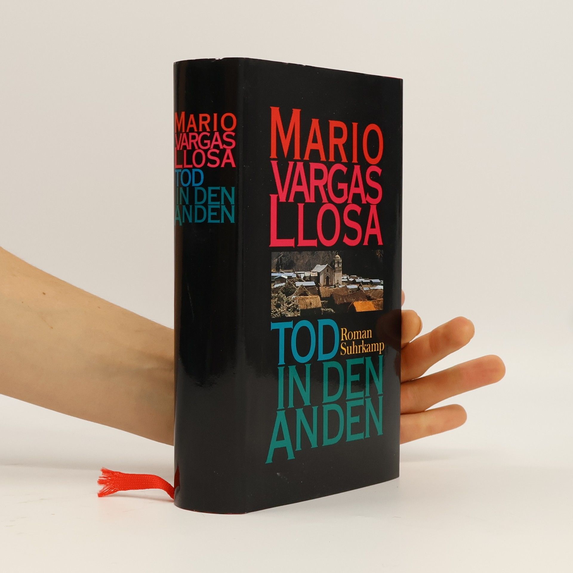 Mario Vargas Llosa Tod in den Anden