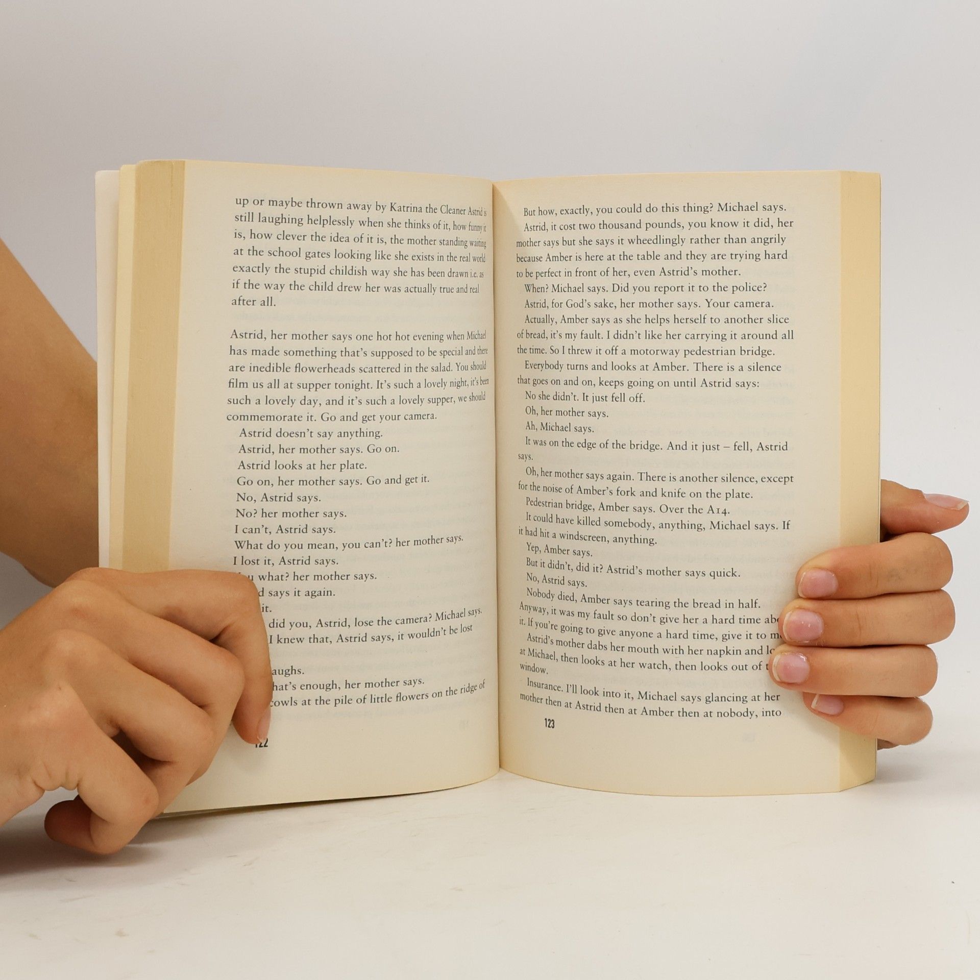 Ali Smith The Accidental