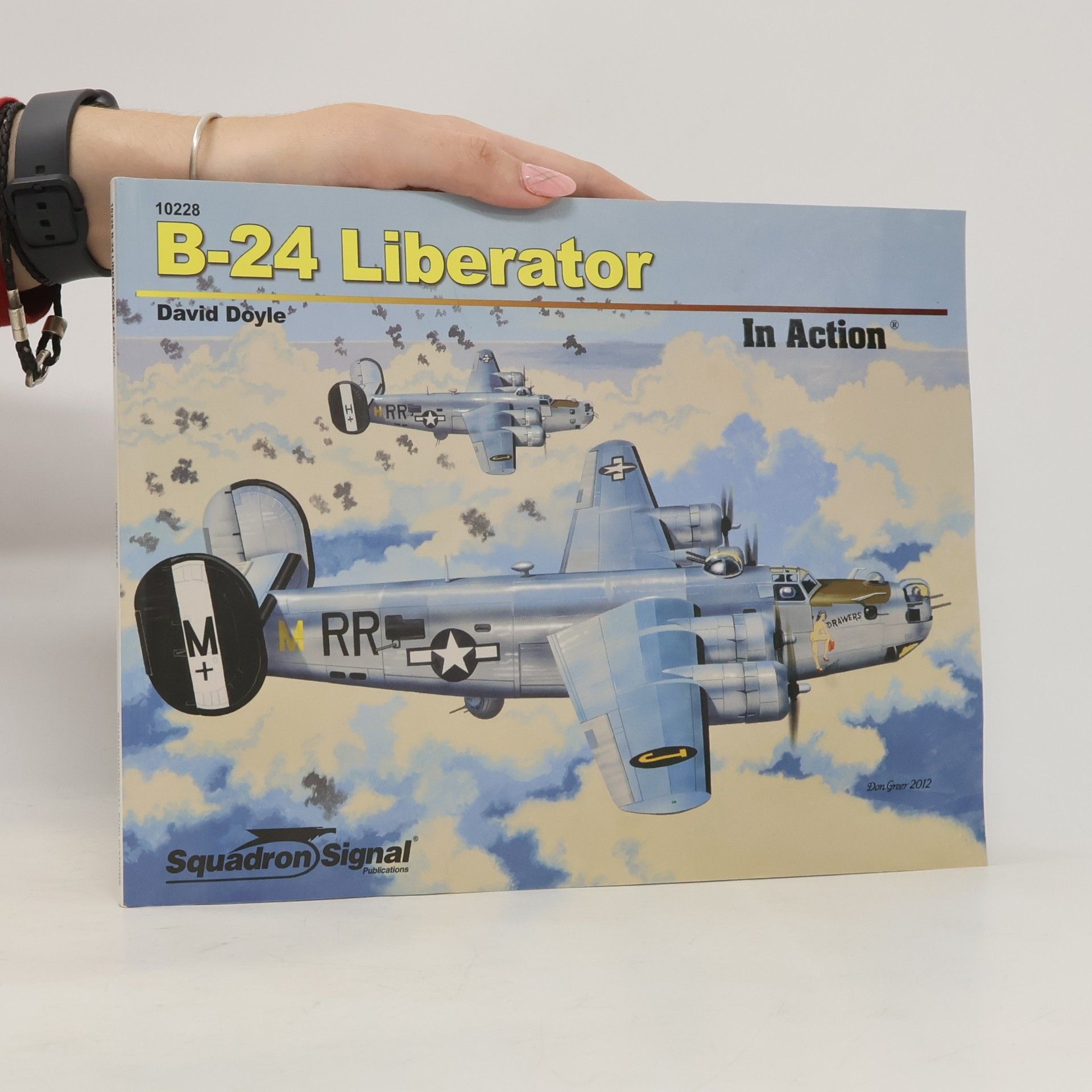 B-24 Liberator In Action