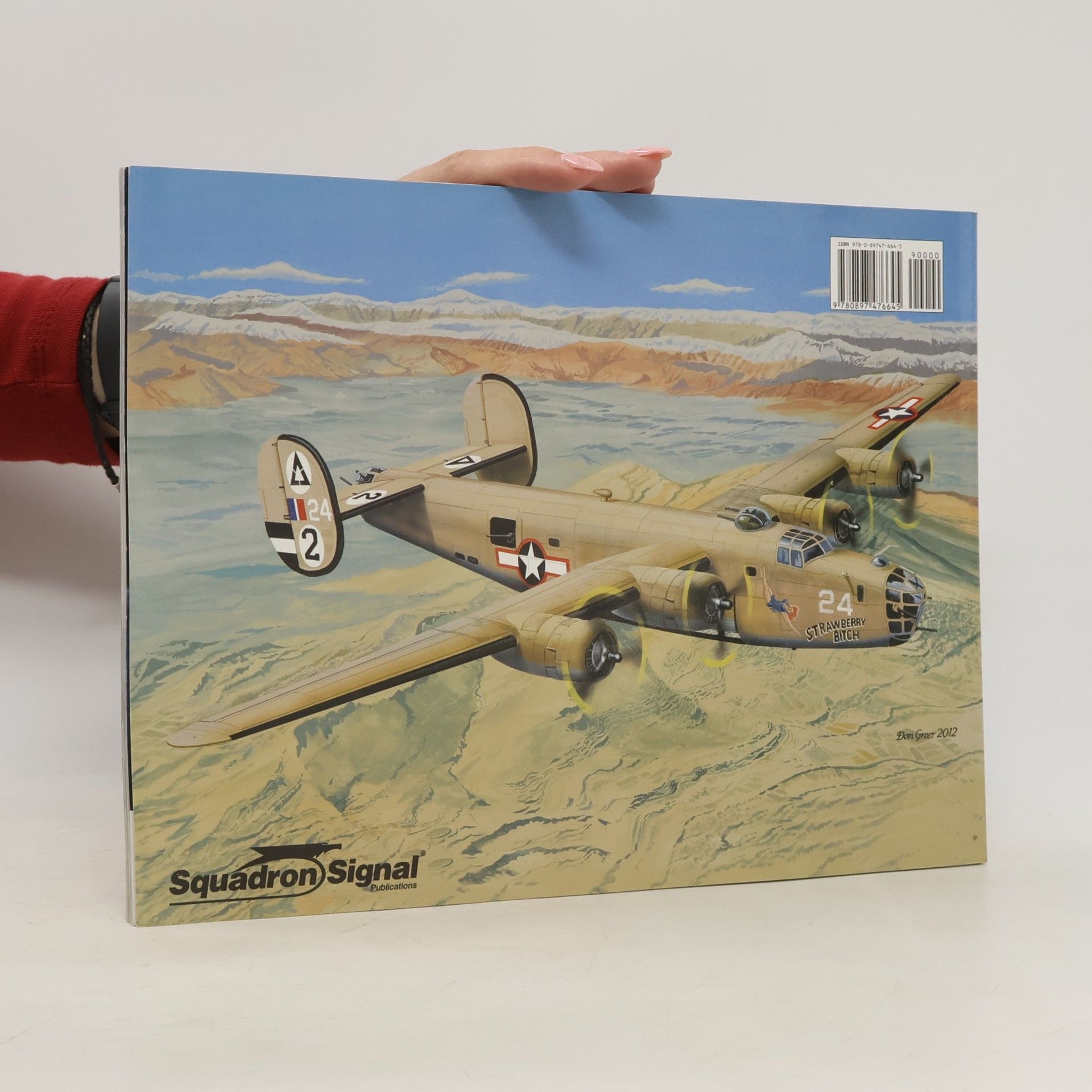 David Doyle B-24 Liberator In Action