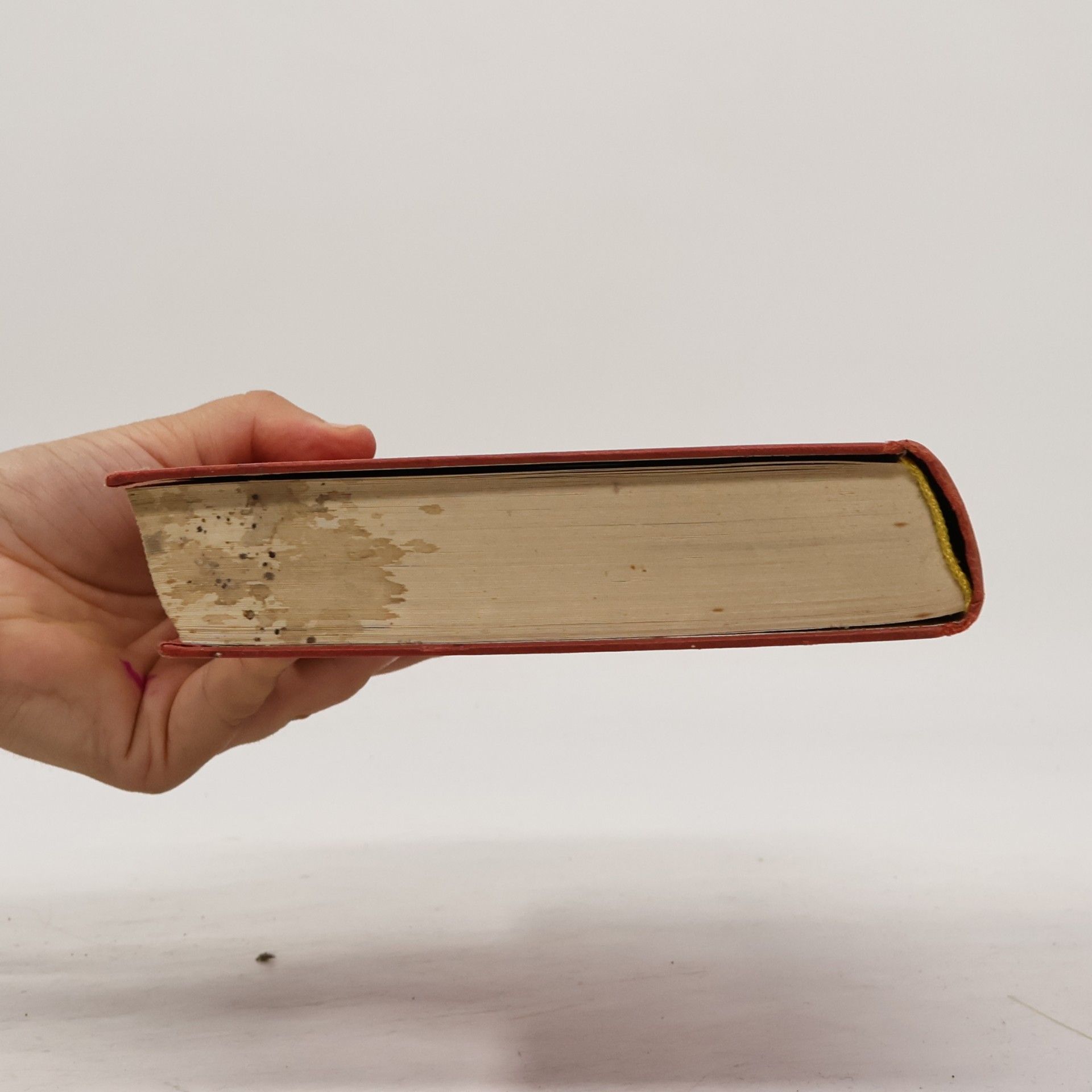 Eleanor Burford Der Teufel zu Pferde