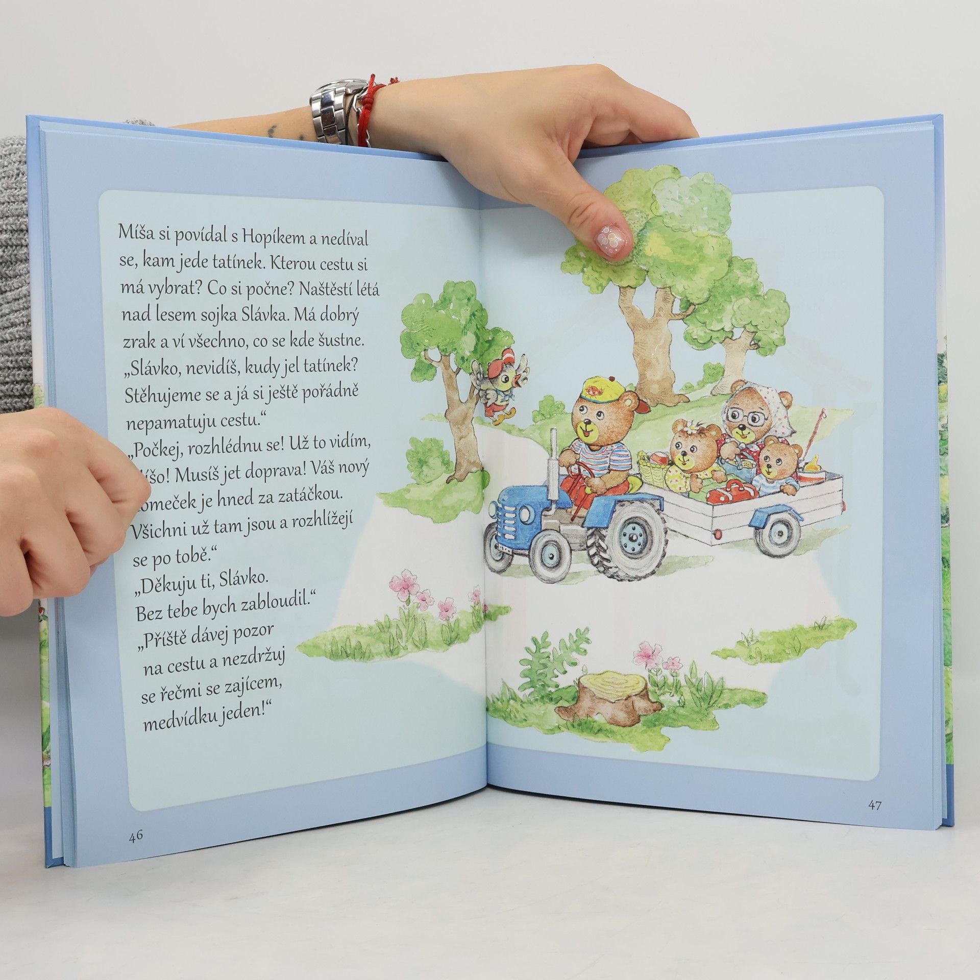 Jana Pacnerová Příběhy z Medvědína. 1
