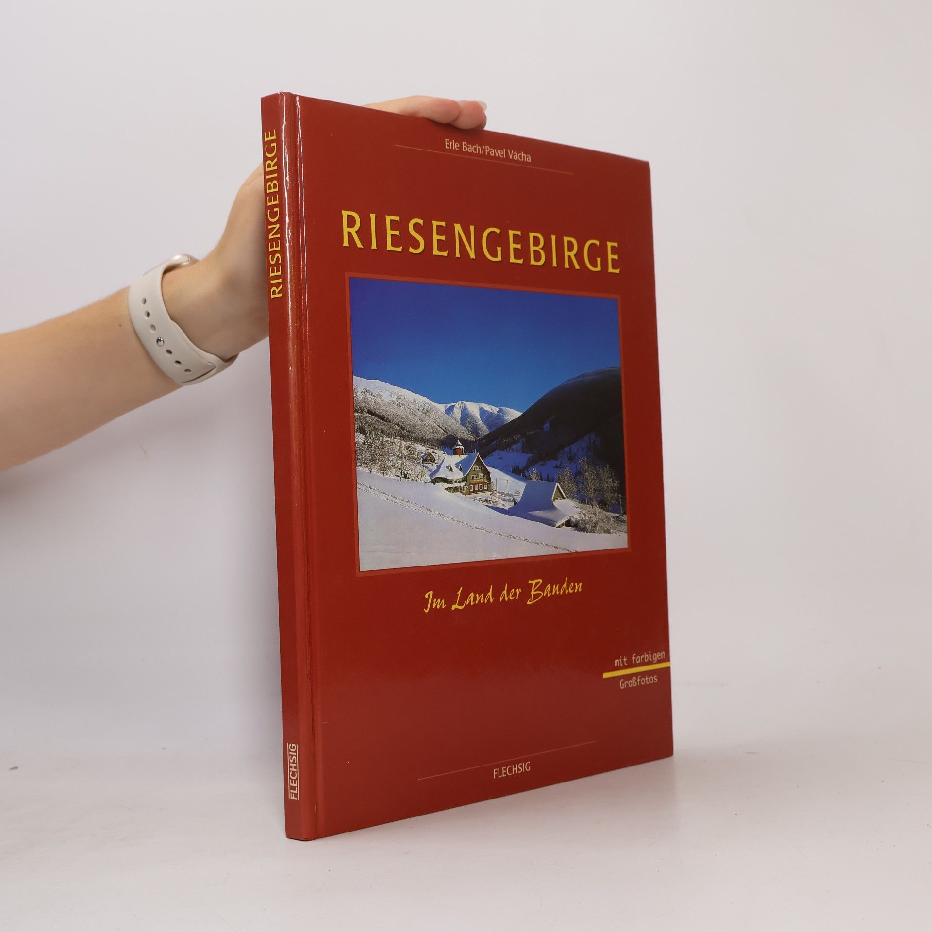 Erle Bach Riesengebirge