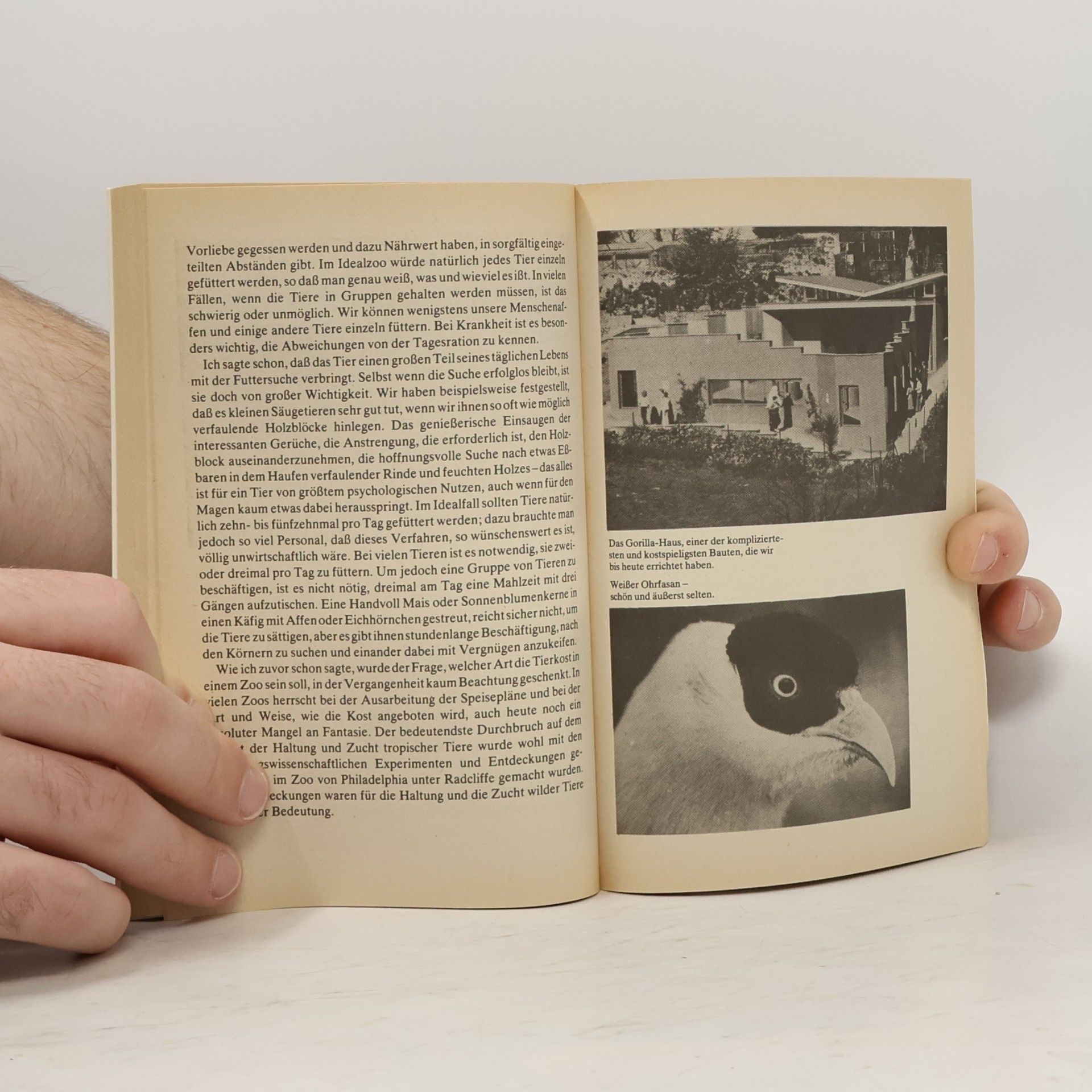 Gerald Malcolm Durrell Die Tiere in meiner Arche