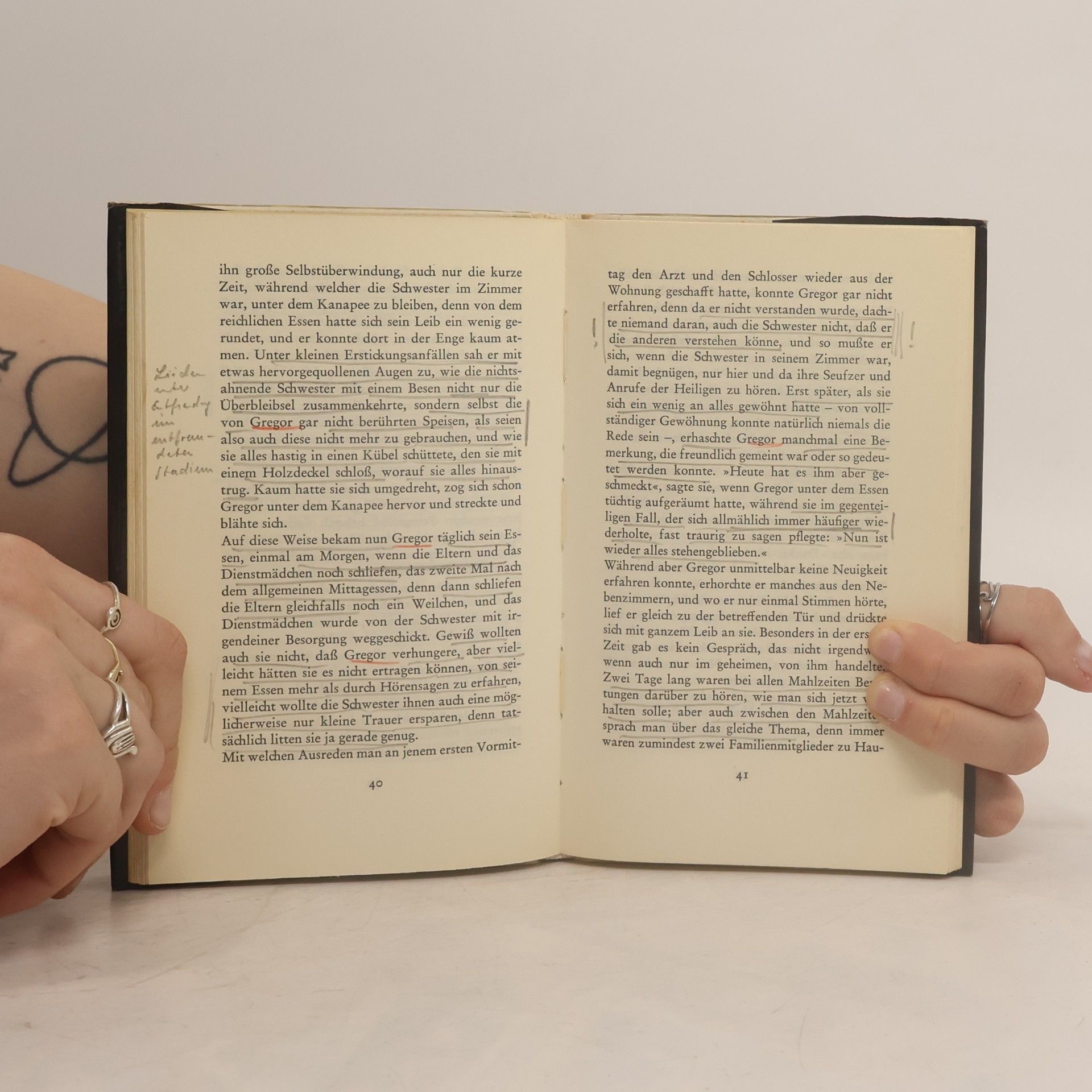 Franz Kafka Die Verwandlung