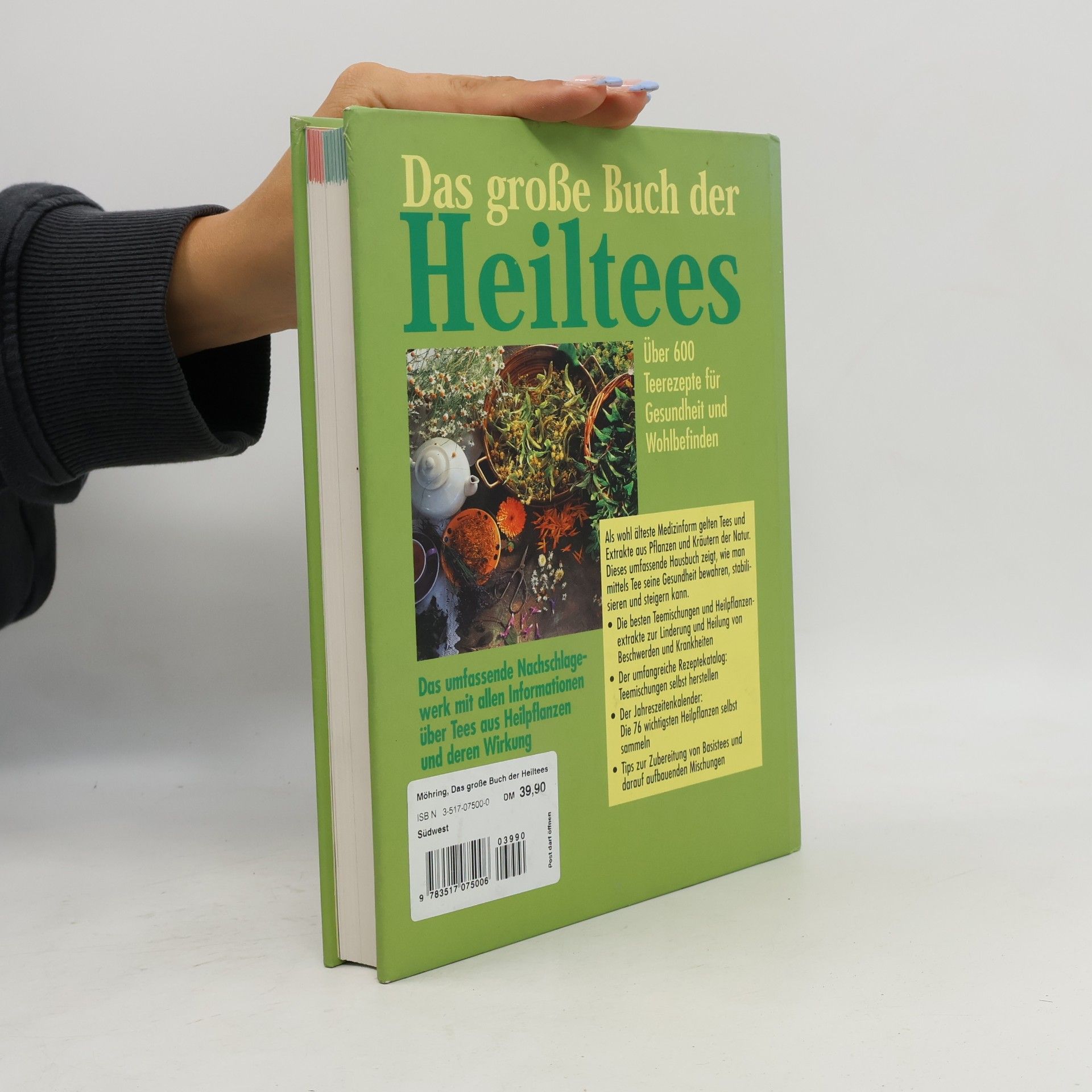 Wolfgang Möhring Das große Buch der Heiltees