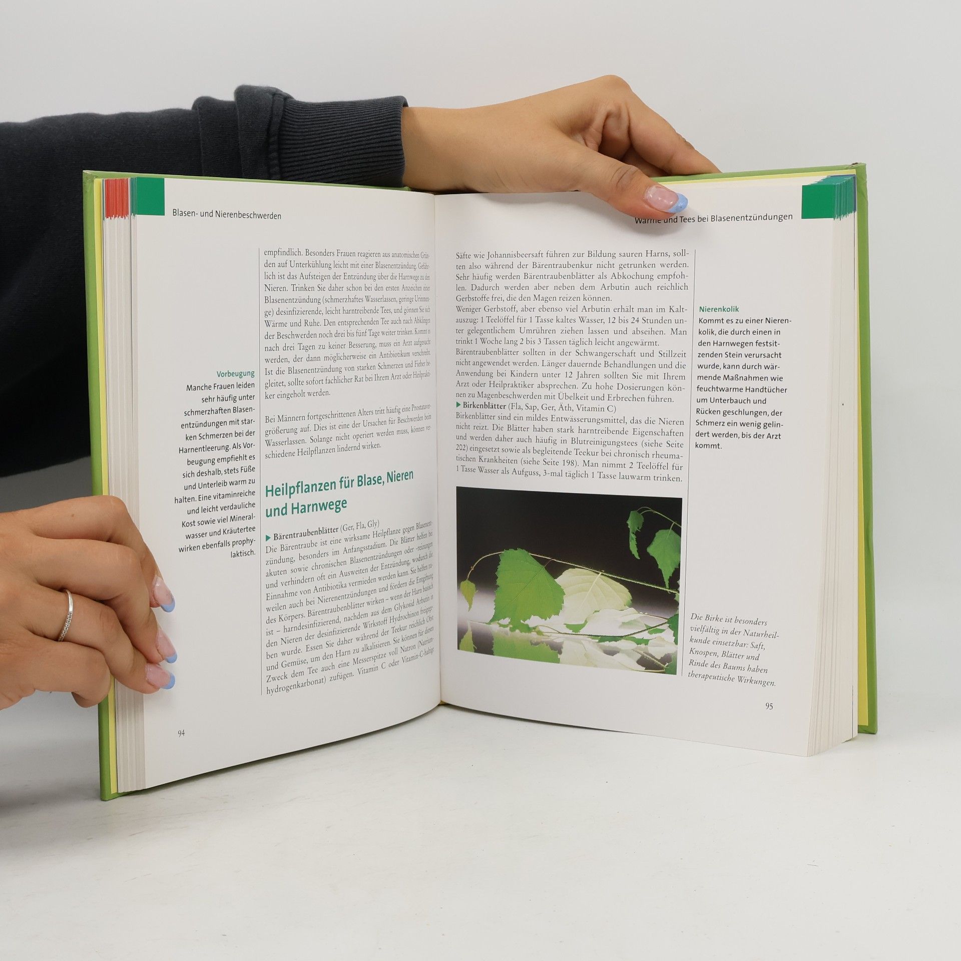 Wolfgang Möhring Das große Buch der Heiltees