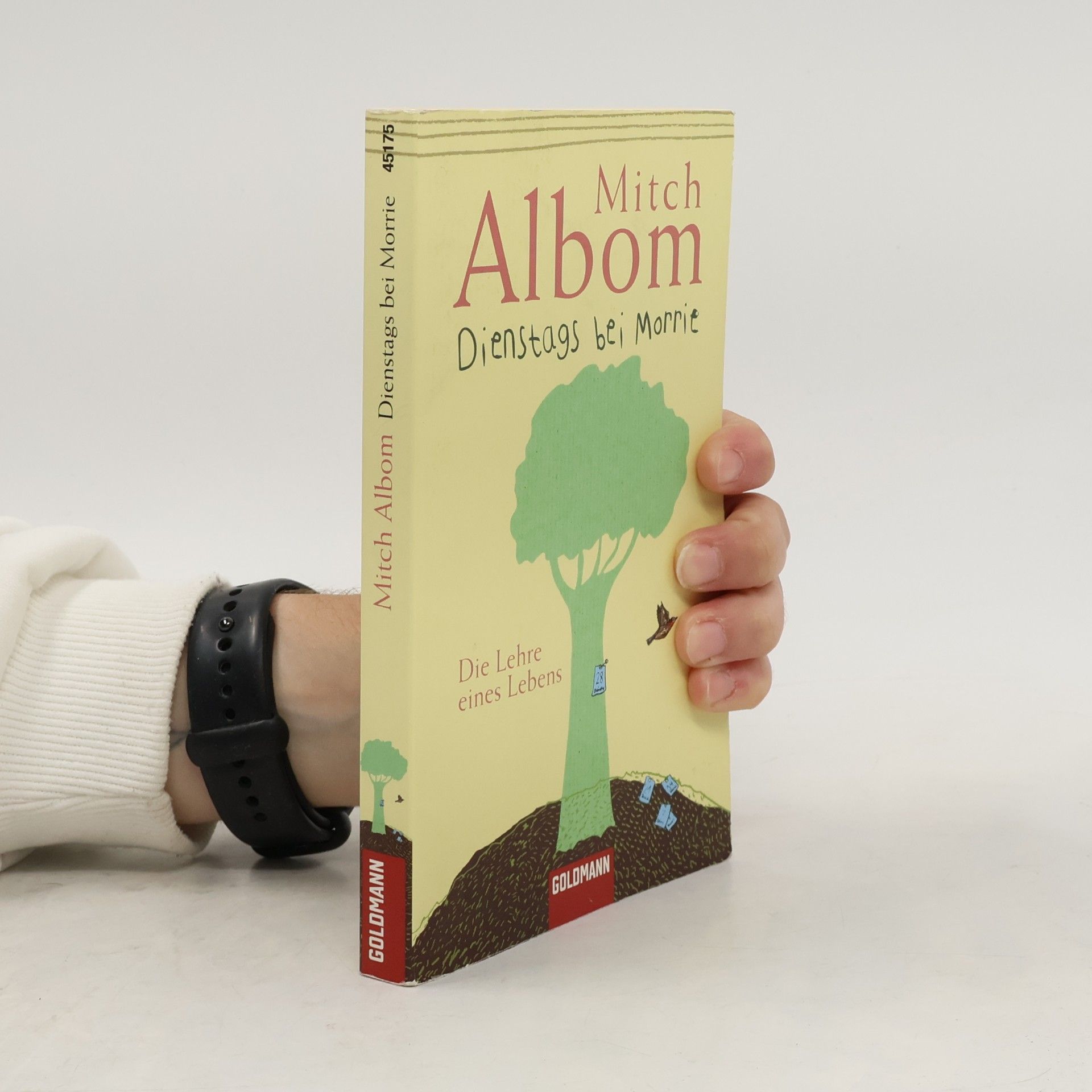 Mitch Albom Dienstags bei Morrie