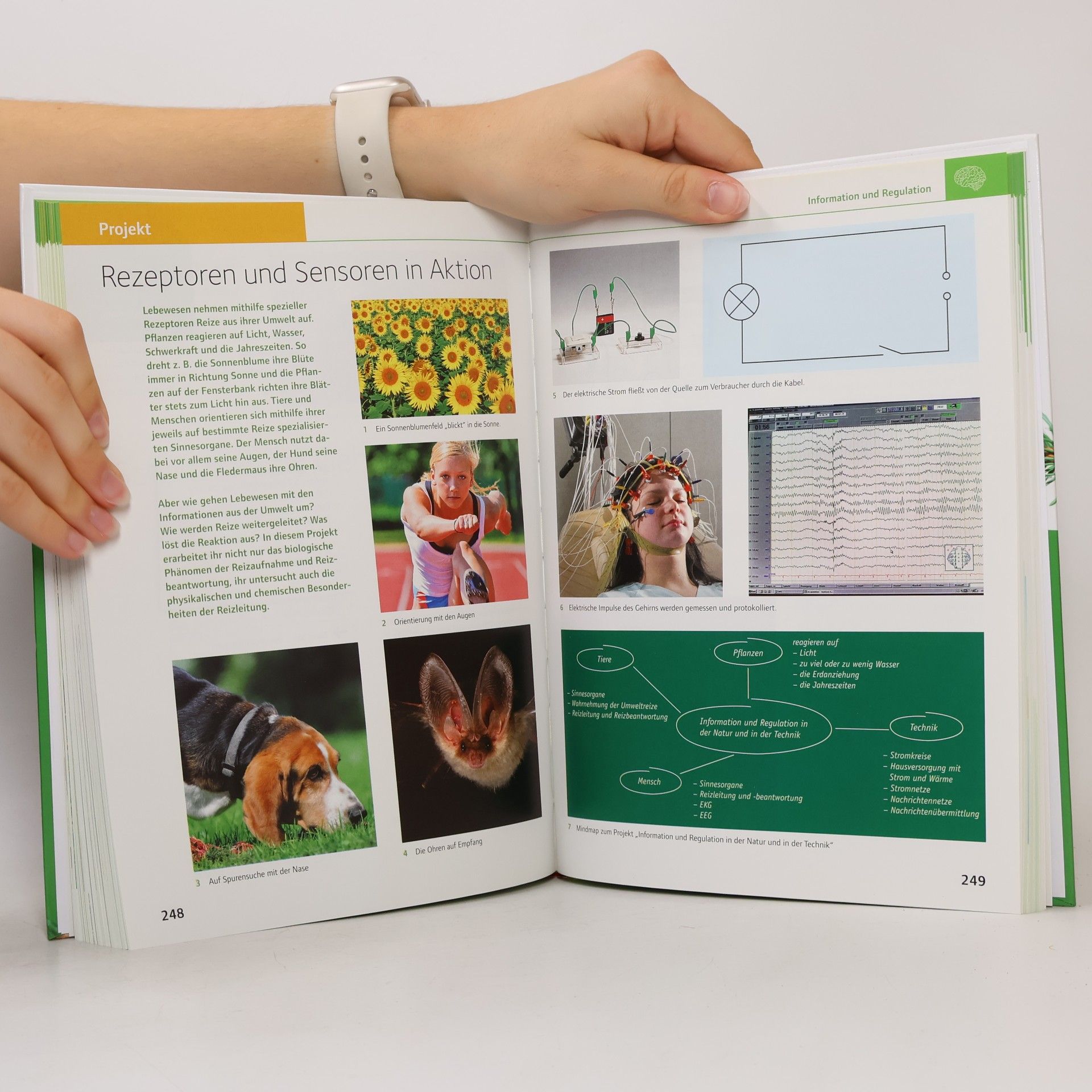 Rach, Jutta Natur und Technik - Biologie (Ausgabe 2011) - Grundausgabe Nordrhein-Westfalen - Gesamtband: Schulbuch
