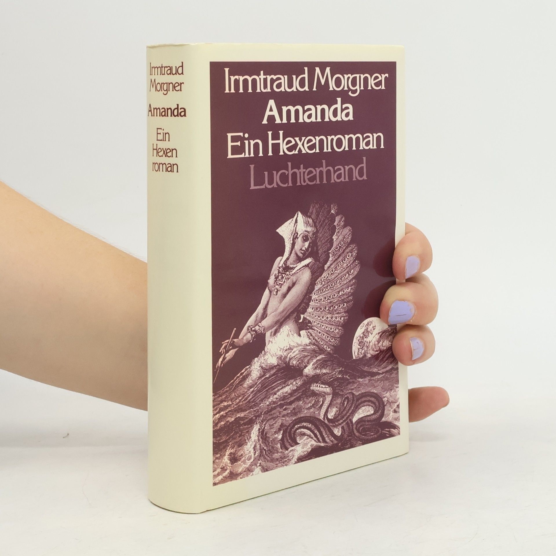 Irmtraud Morgner Amanda : Ein Hexenroman