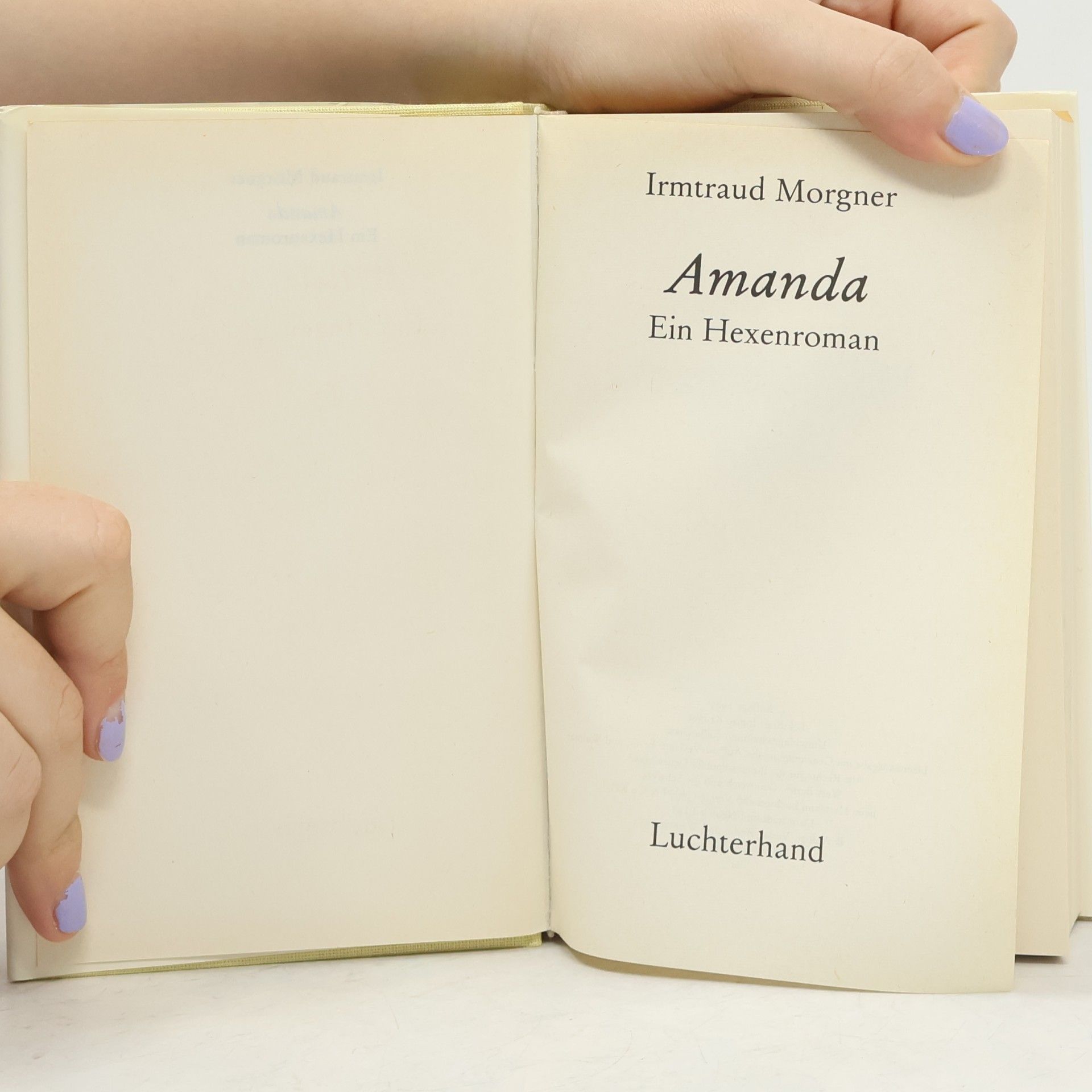 Irmtraud Morgner Amanda : Ein Hexenroman