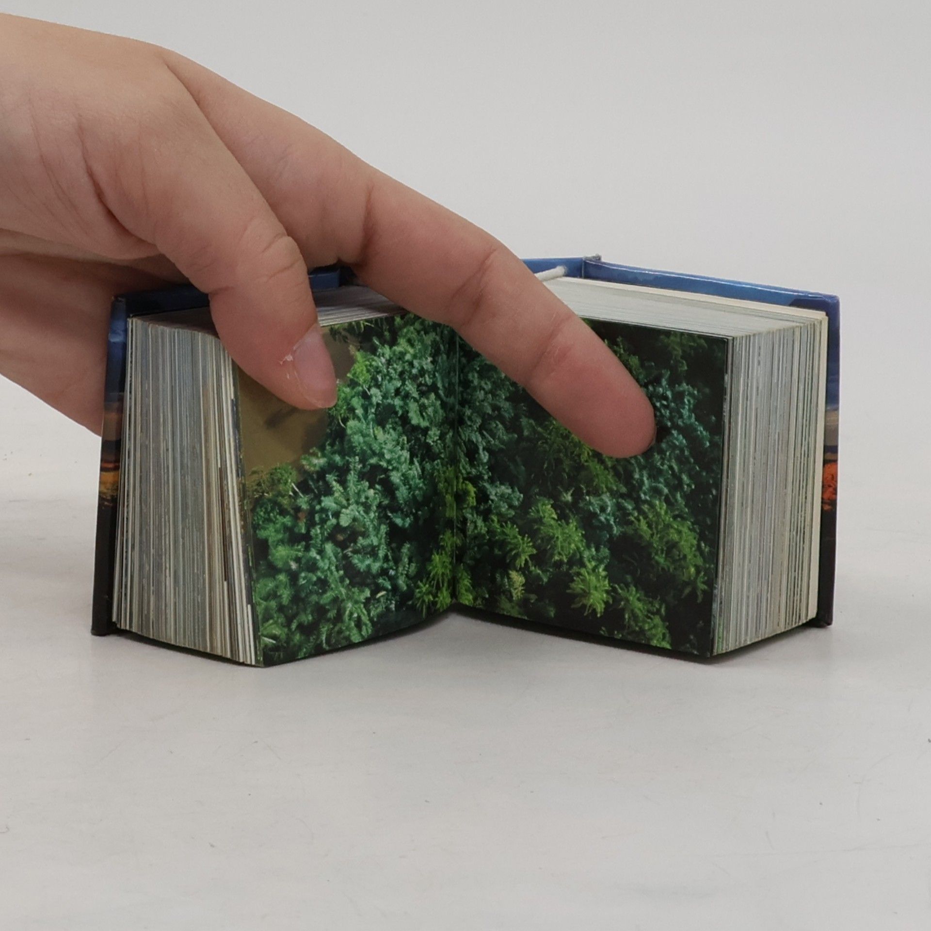 Alberto Bertolazzi Cube Book: Terra