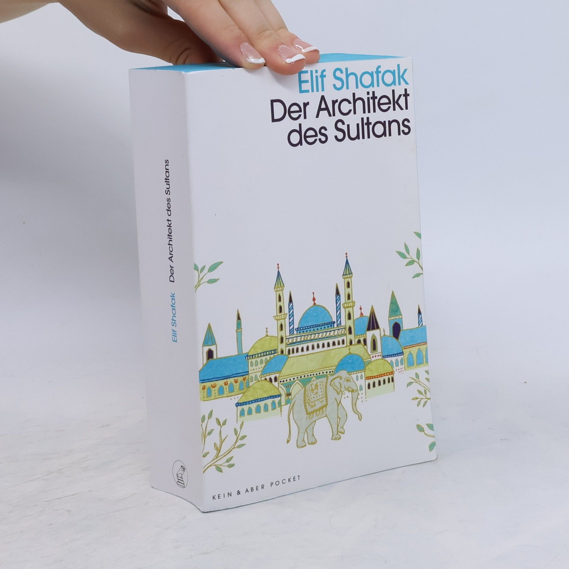 Elif Şafak Der Architekt des Sultans