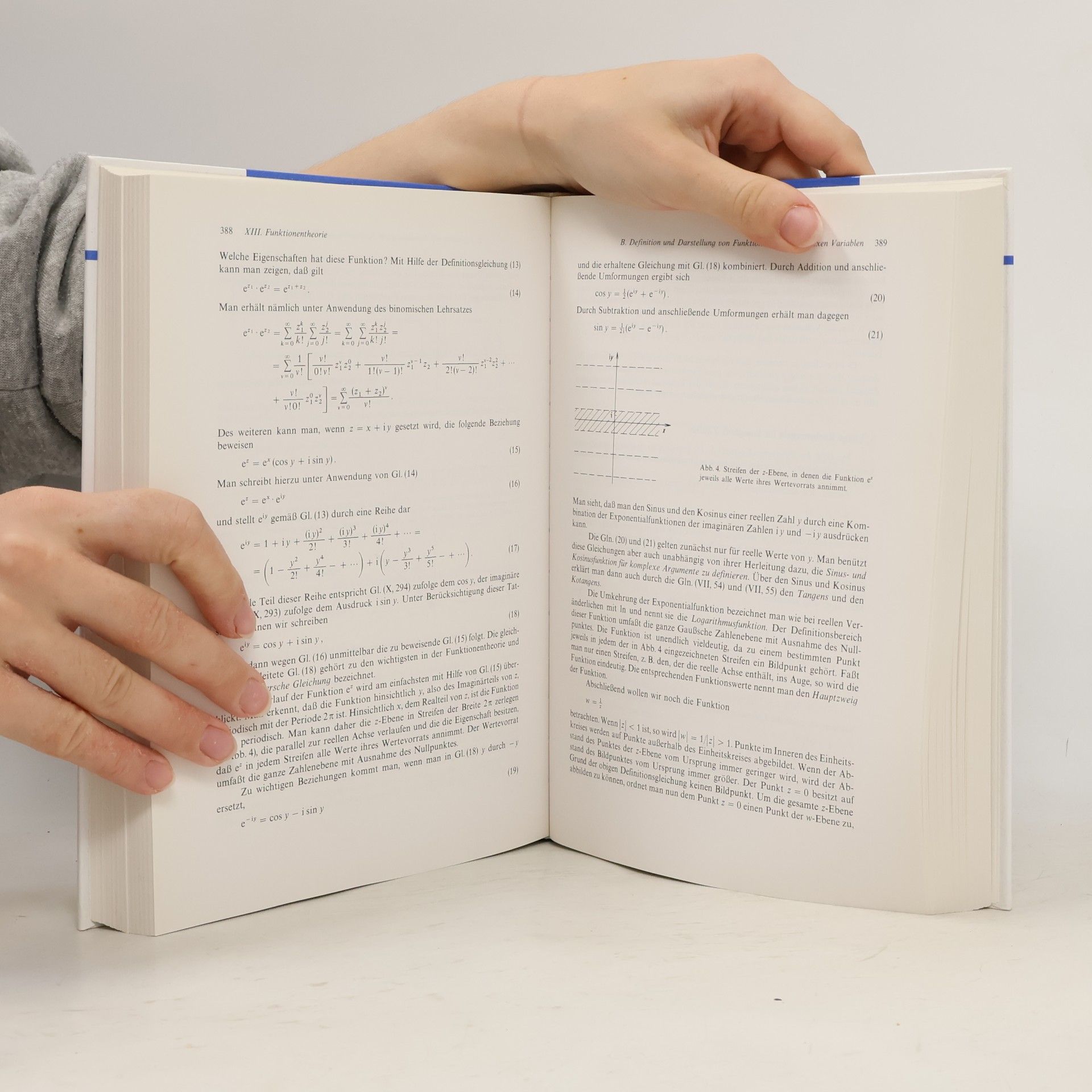 Hans Gerhard Zachmann Mathematik für Chemiker - Erweiterte Auflage