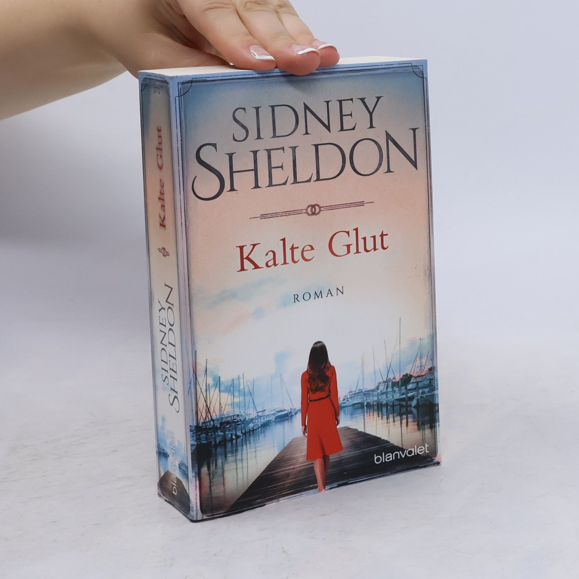 Sidney Sheldon Kalte Glut