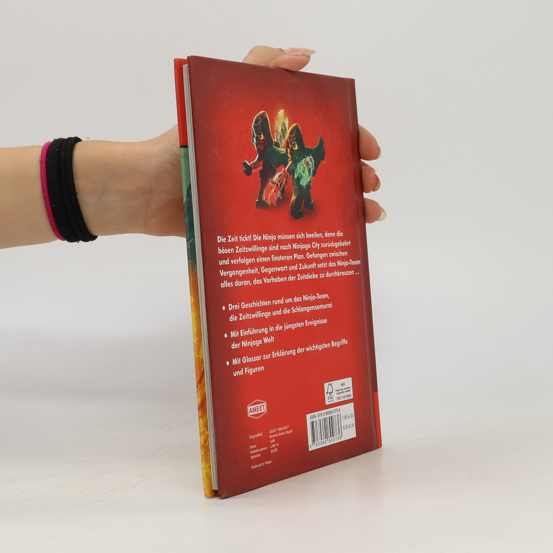 Meredith Rusu LEGO Ninjago, Masters of Spinjitzu - Diebe der Zeit