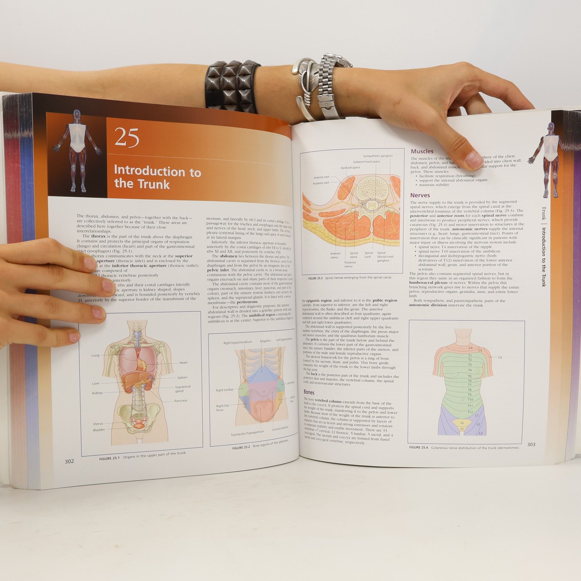 Kenneth P. Moses MD Atlas of Clinical Gross Anatomy