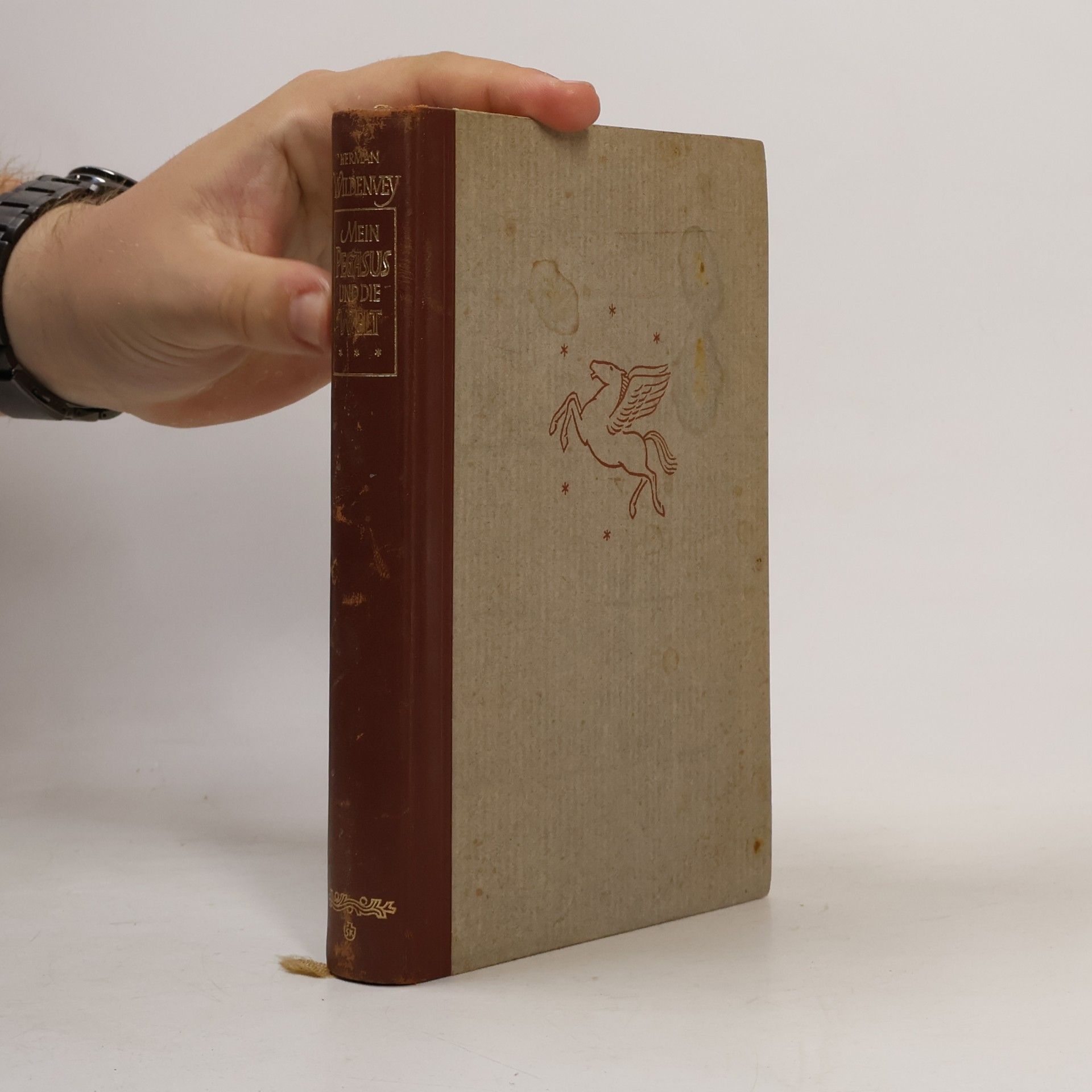Herman Wildenvey Mein Pegasus und die Welt